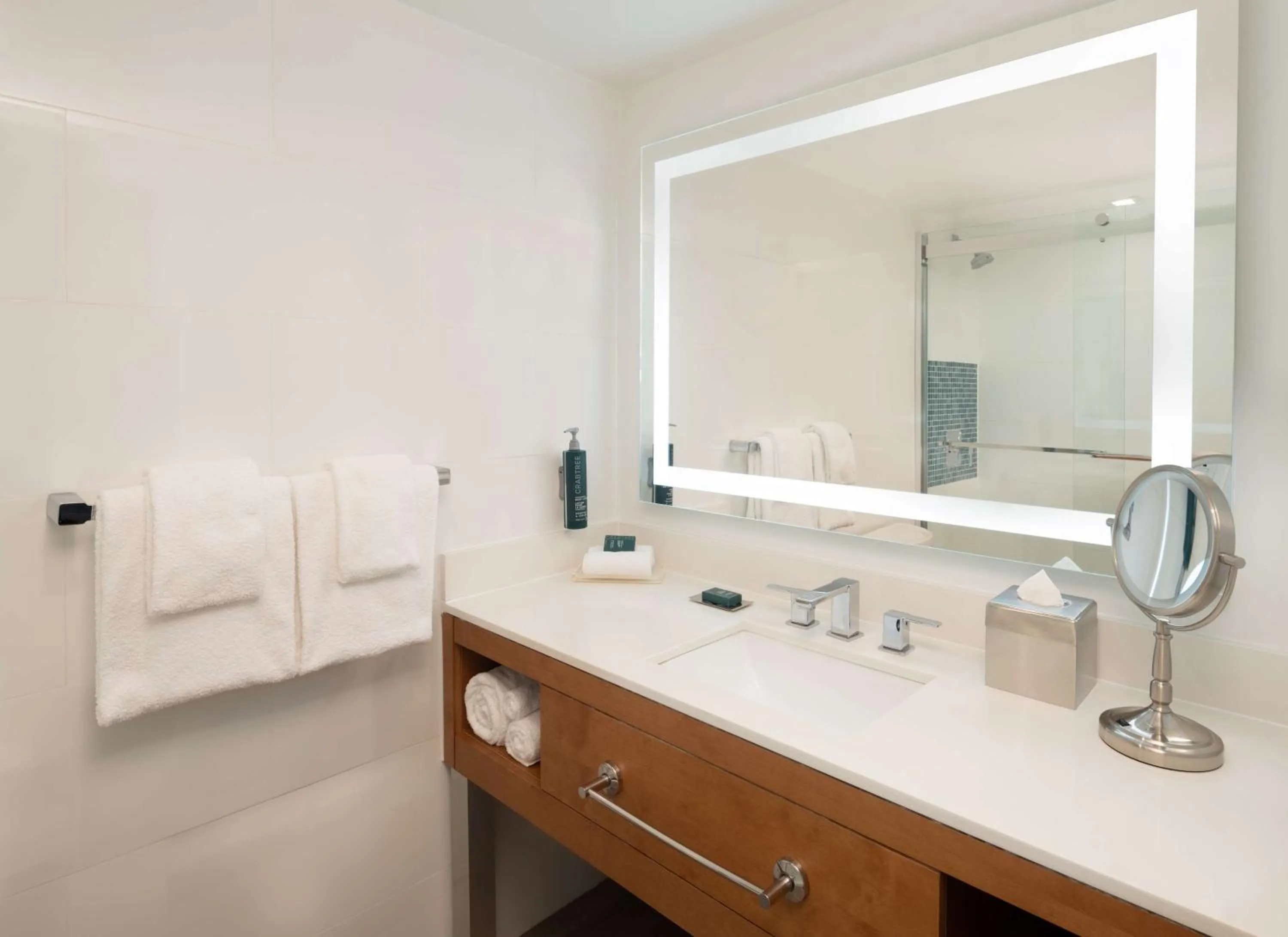 Bathroom in DoubleTree by Hilton Miami North I-95