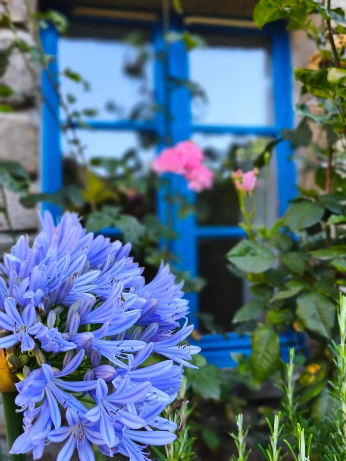 Garden in Manoir Des Douets Fleuris