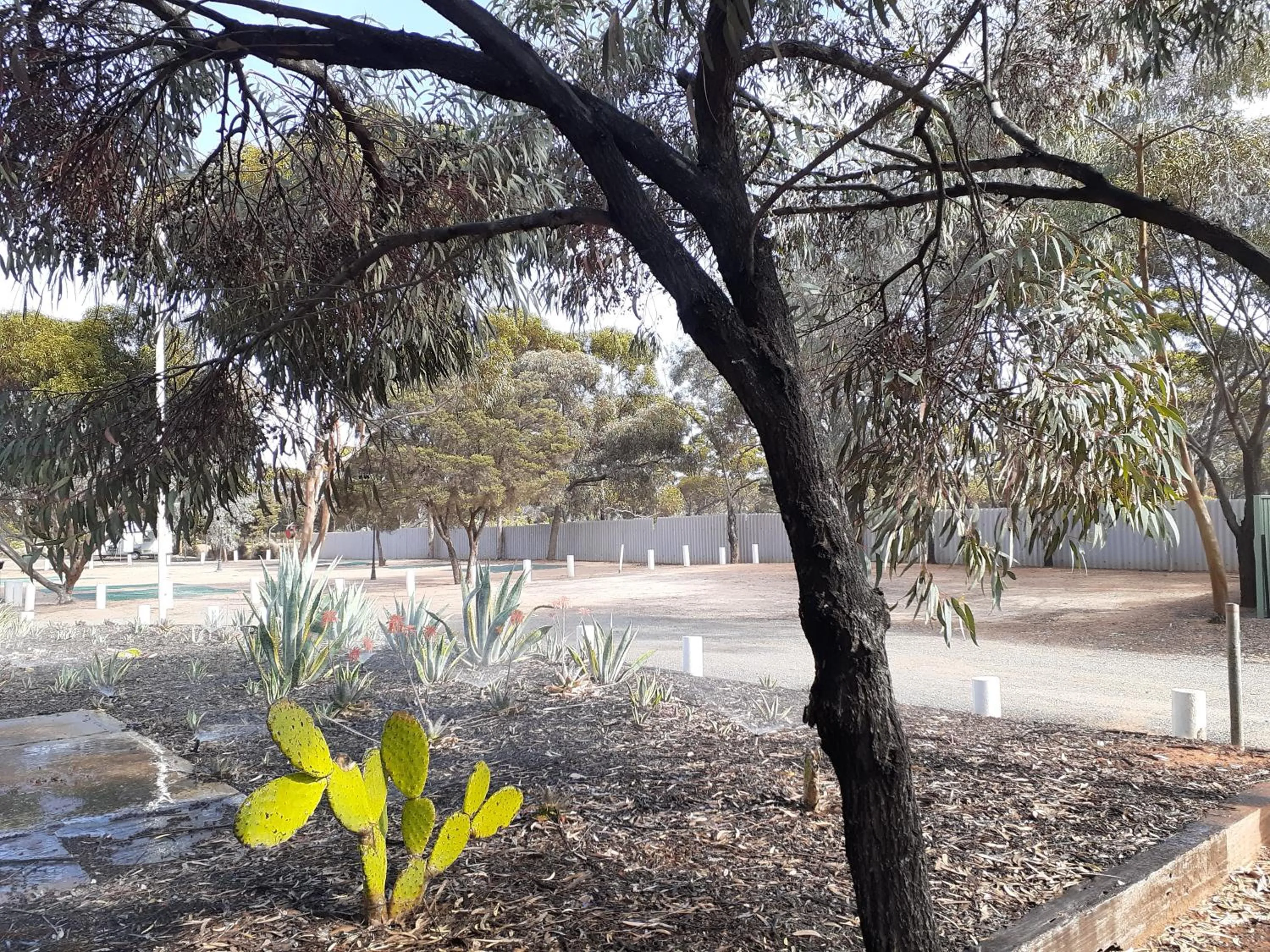 Acclaim Gateway Tourist Park