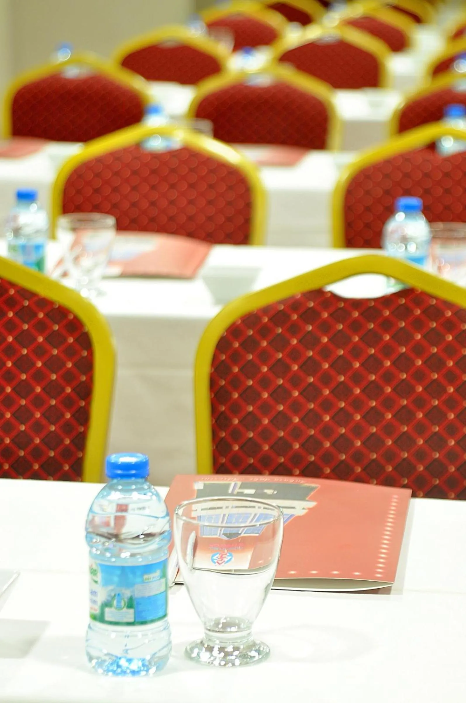 Business facilities in Starton Hotel