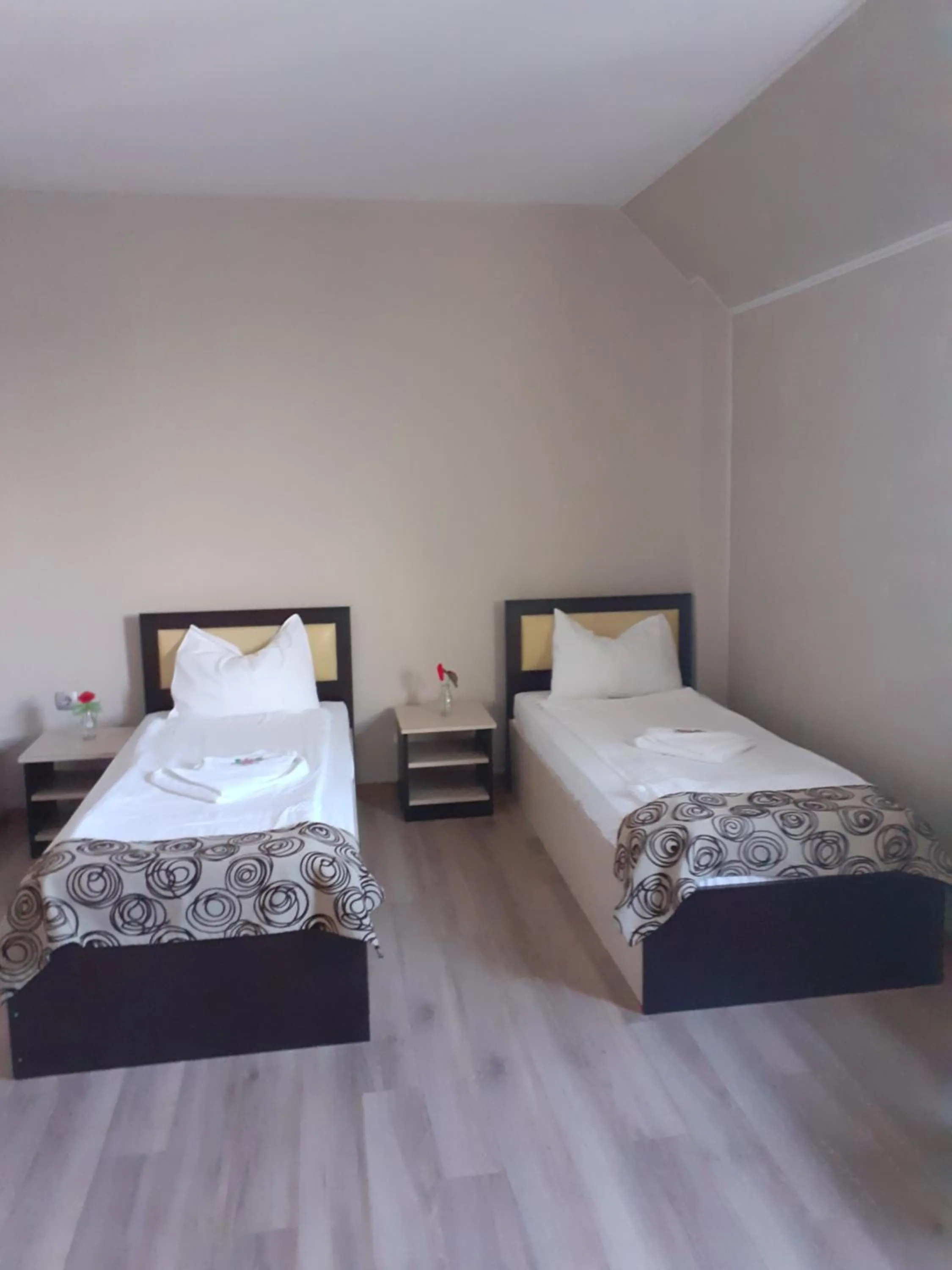 Twin Room in Alexander Hotel