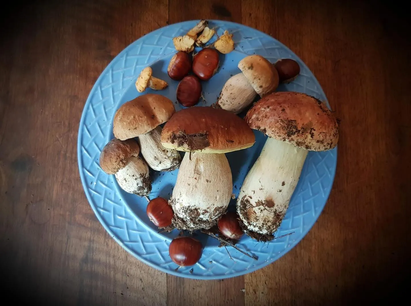 Activities in Camping du Lac