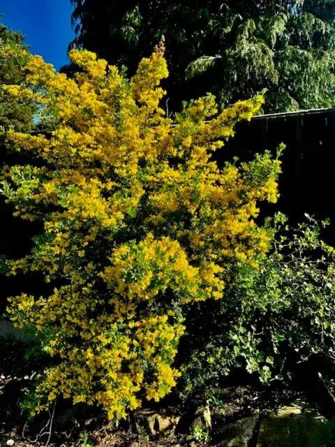Garden view in Jasmine House Garden view in Jasmine House