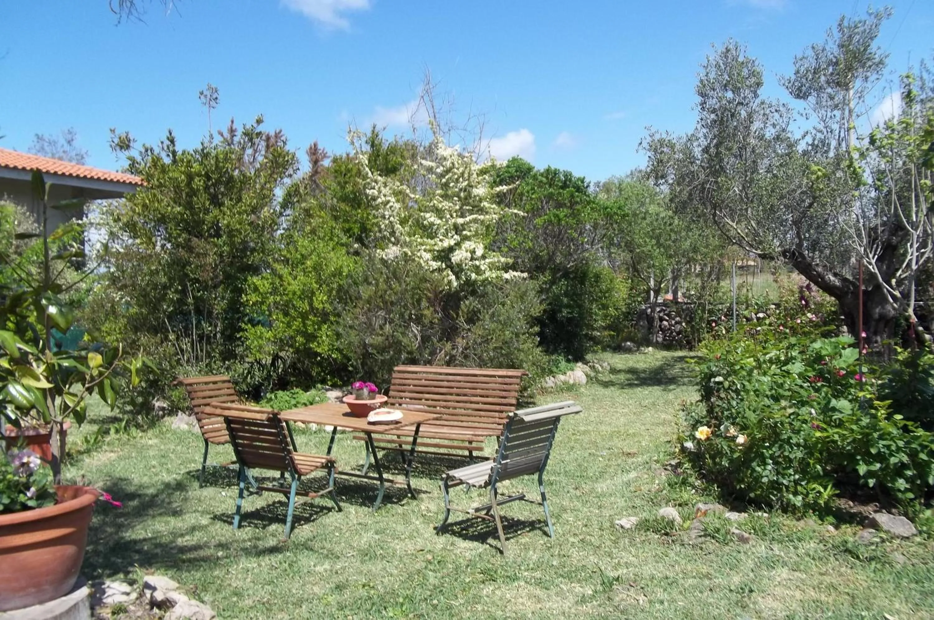 Natural landscape in Il Vecchioliveto di Ornella