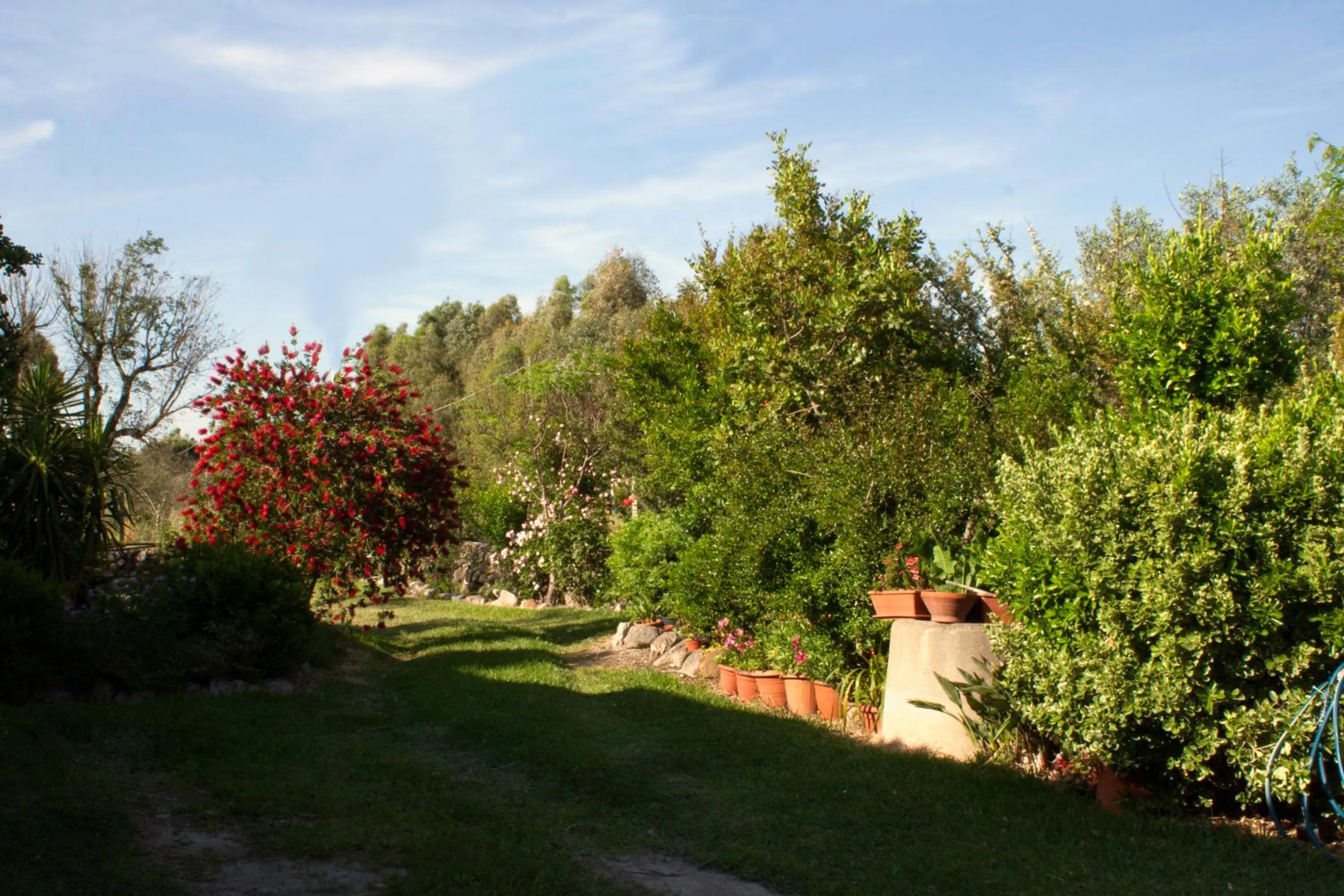 Garden view in Il Vecchioliveto di Ornella