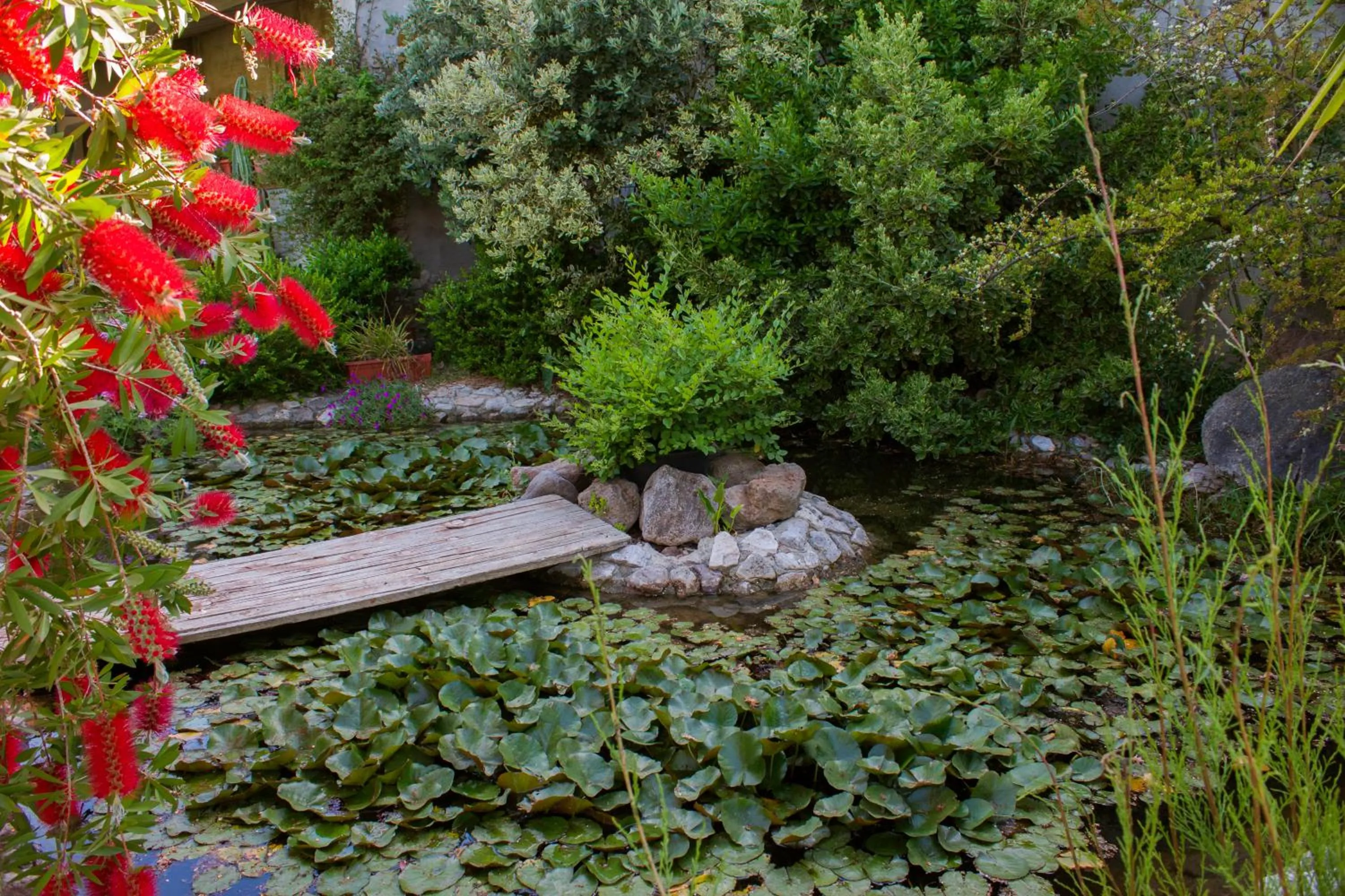 Garden view in Il Vecchioliveto di Ornella