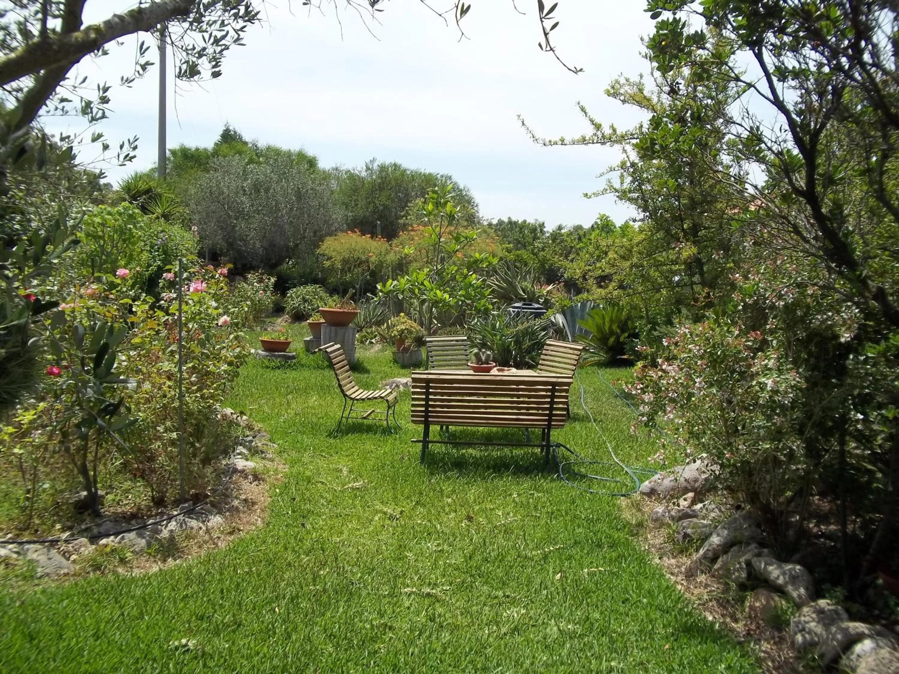 Garden in Il Vecchioliveto di Ornella
