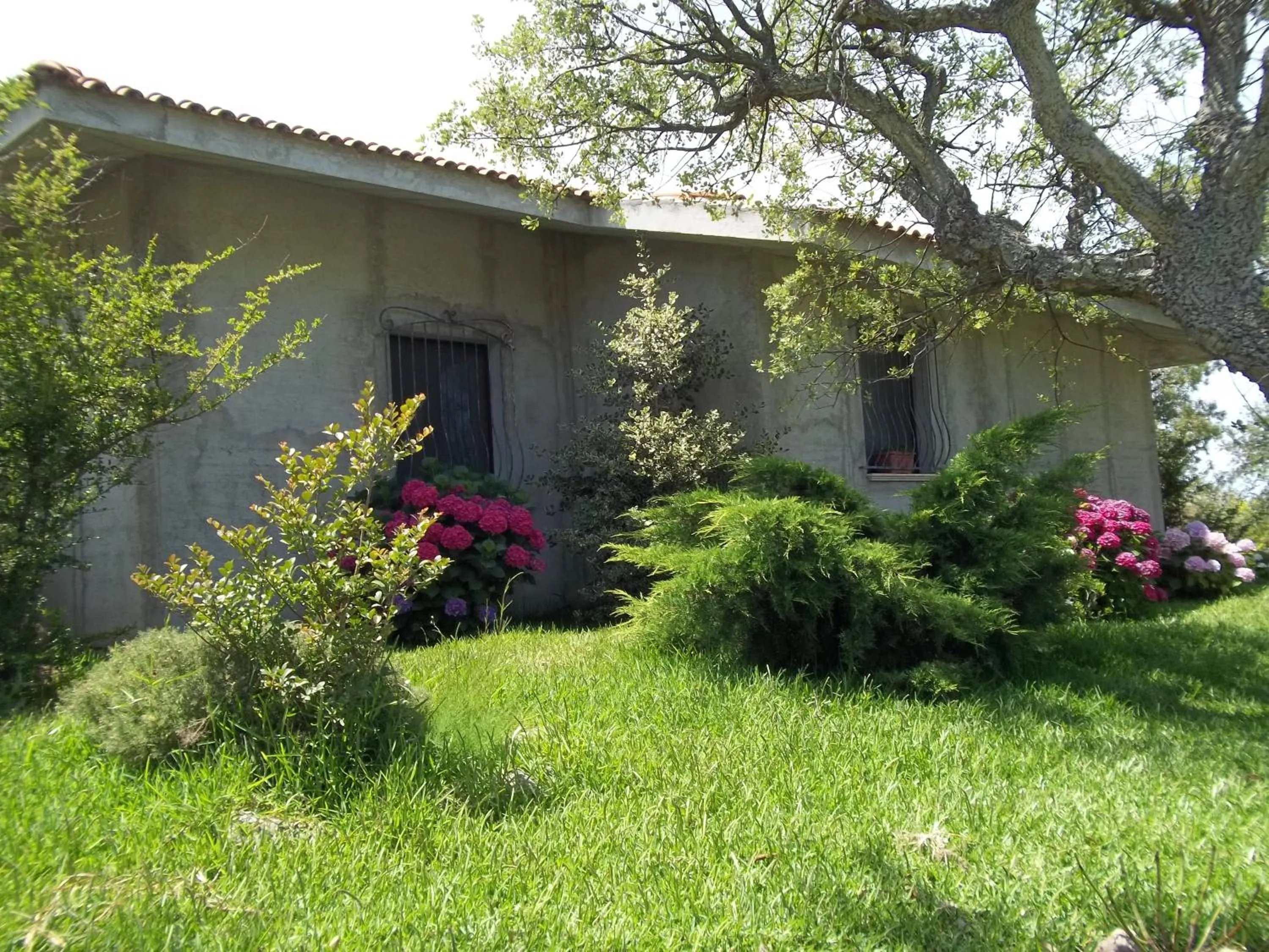 Property building in Il Vecchioliveto di Ornella