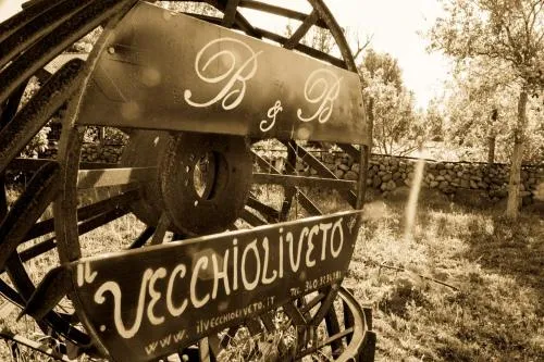 Il Vecchioliveto di Ornella