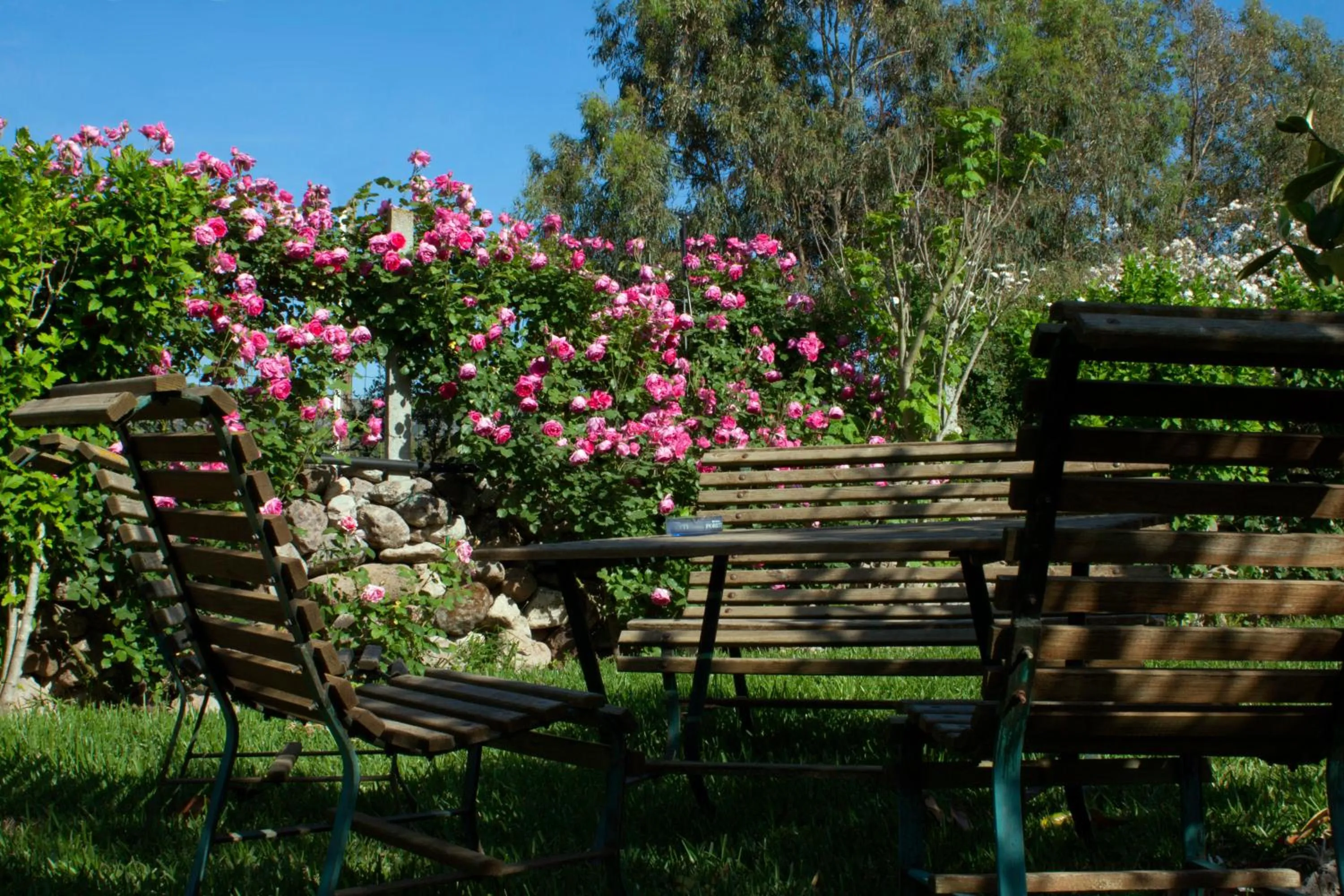 Garden in Il Vecchioliveto di Ornella