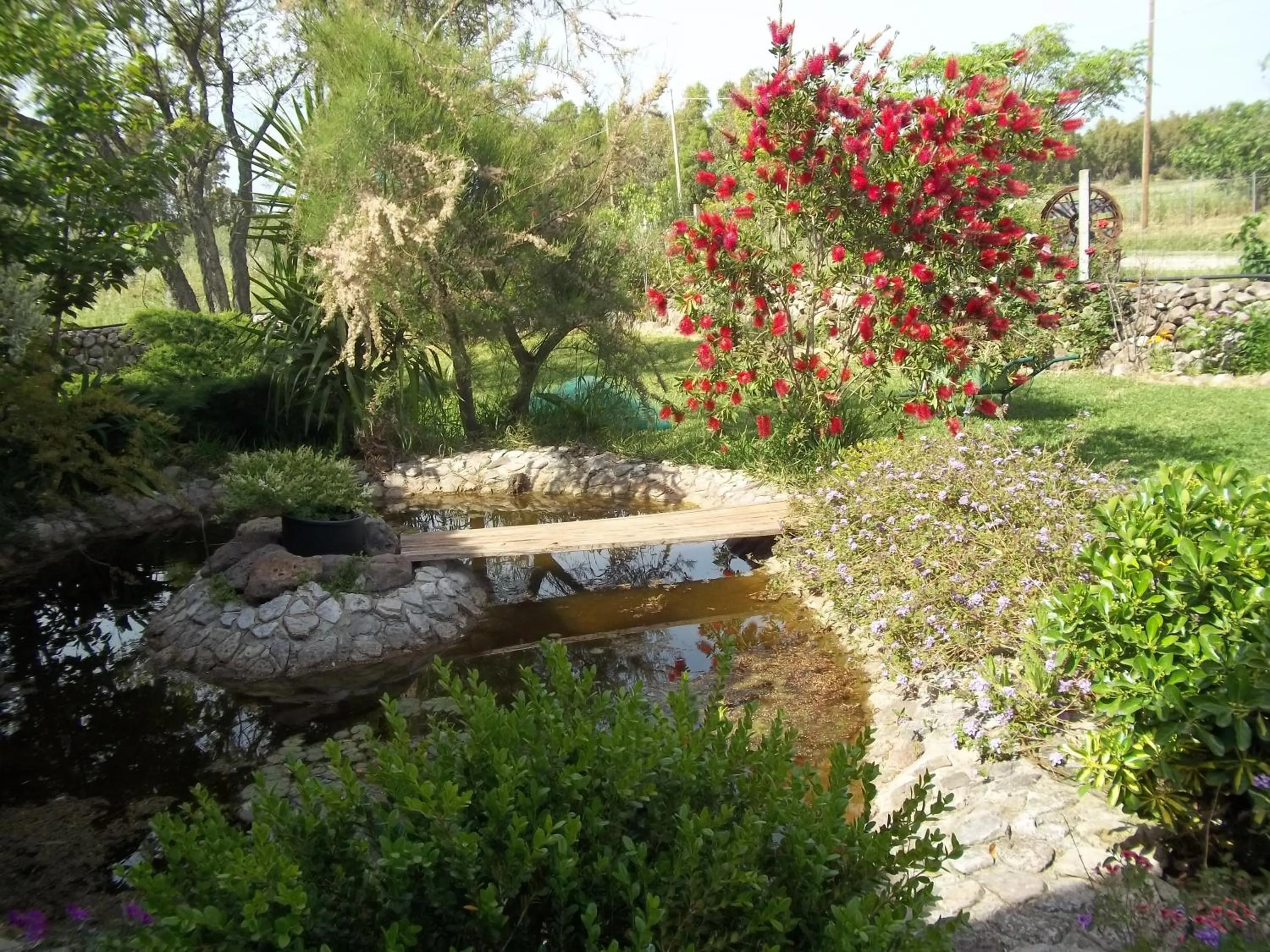 Garden in Il Vecchioliveto di Ornella