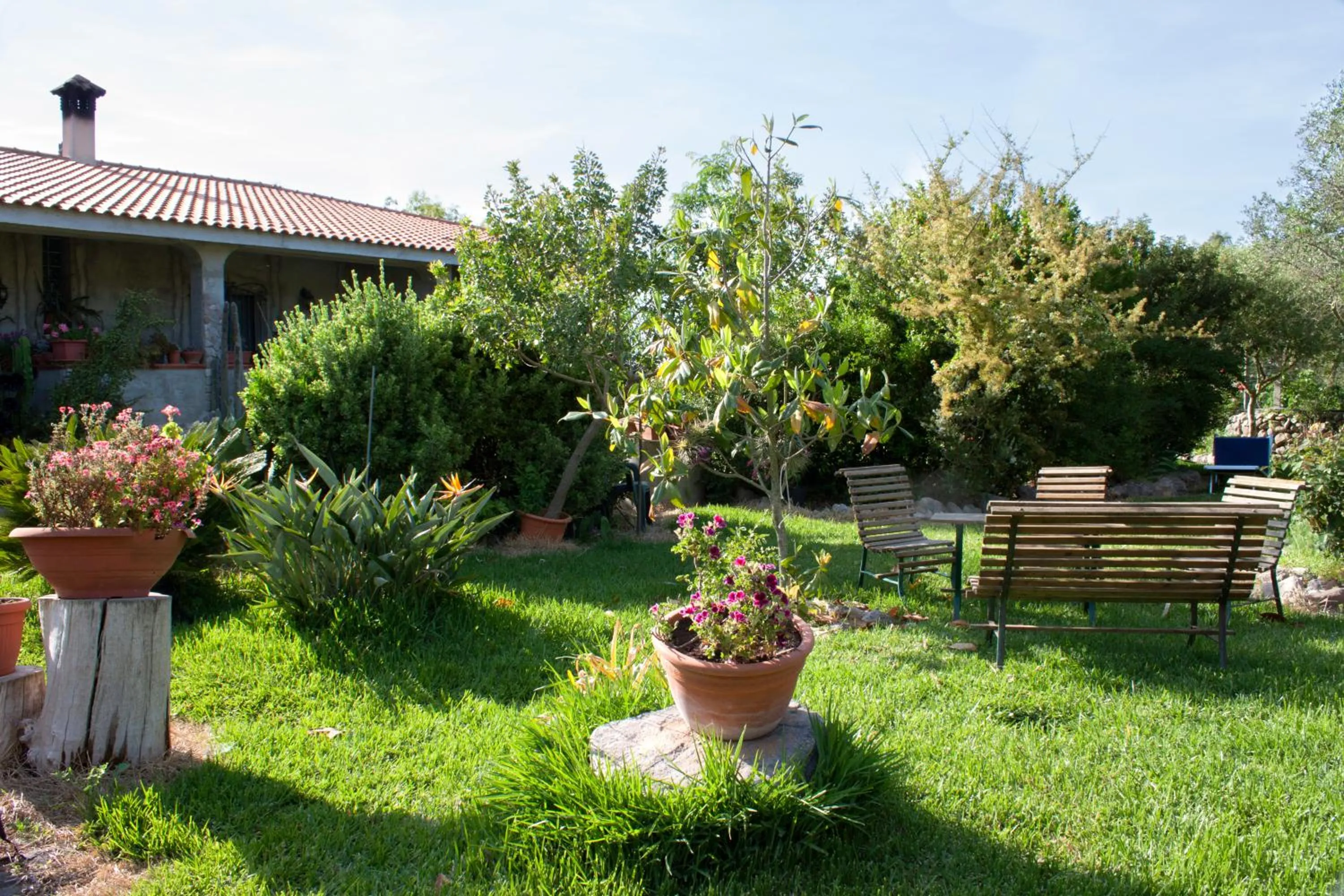 Garden view in Il Vecchioliveto di Ornella