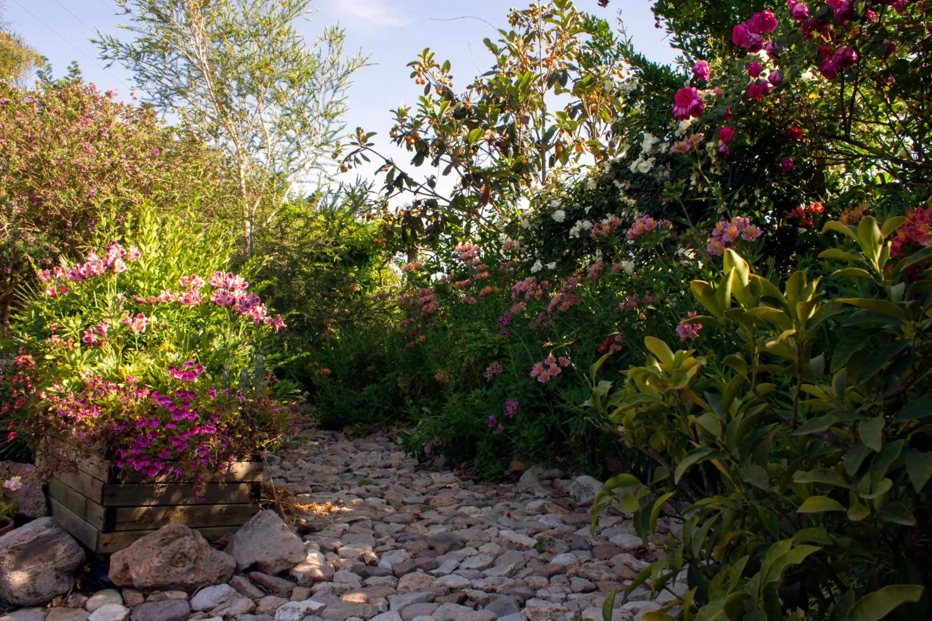 Garden view in Il Vecchioliveto di Ornella