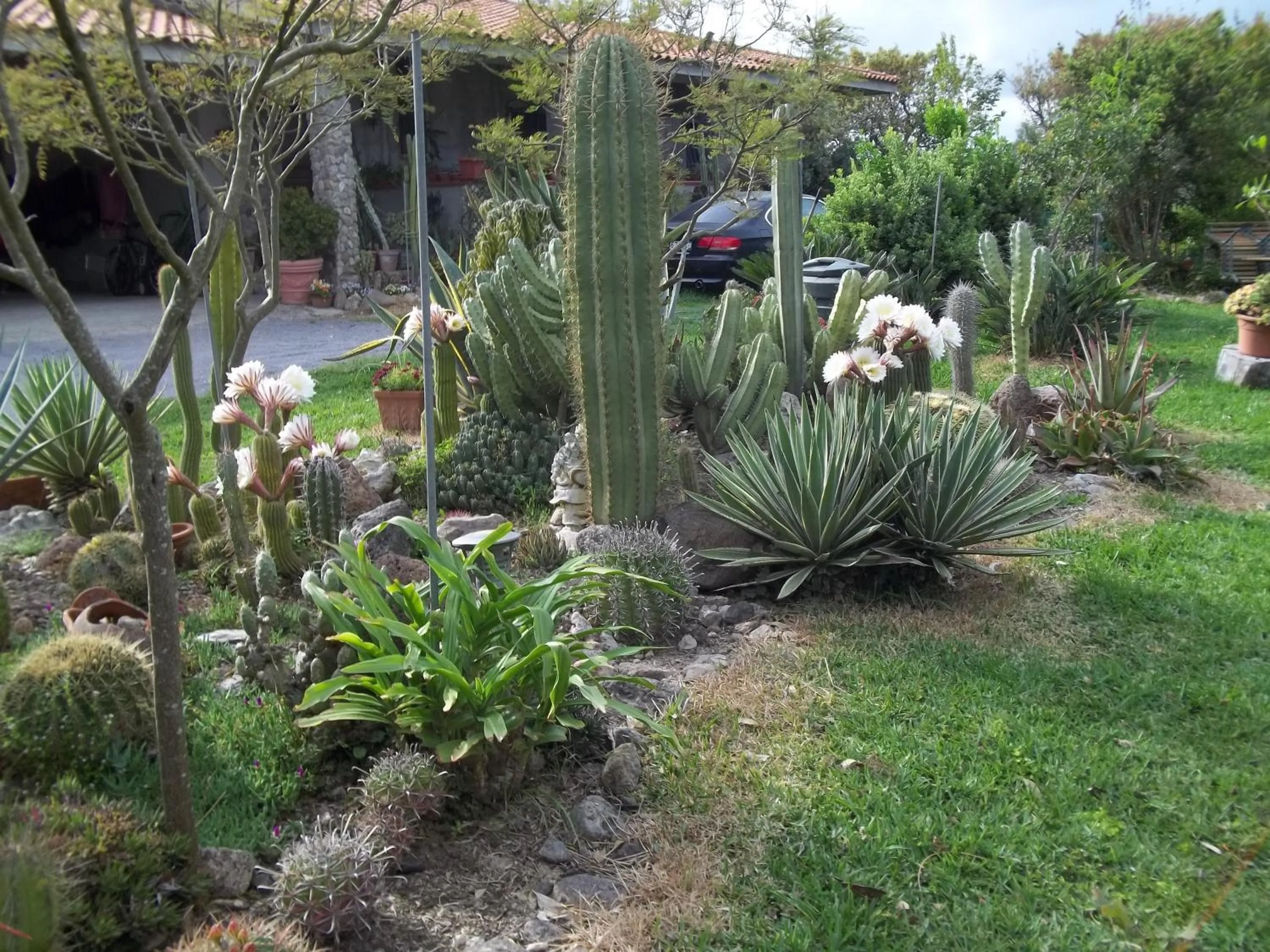 Garden in Il Vecchioliveto di Ornella