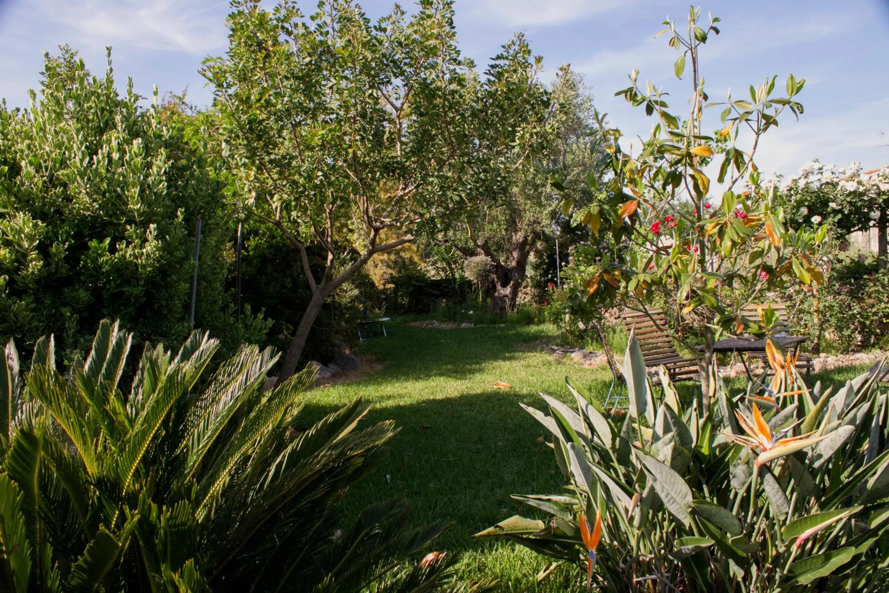Garden view in Il Vecchioliveto di Ornella
