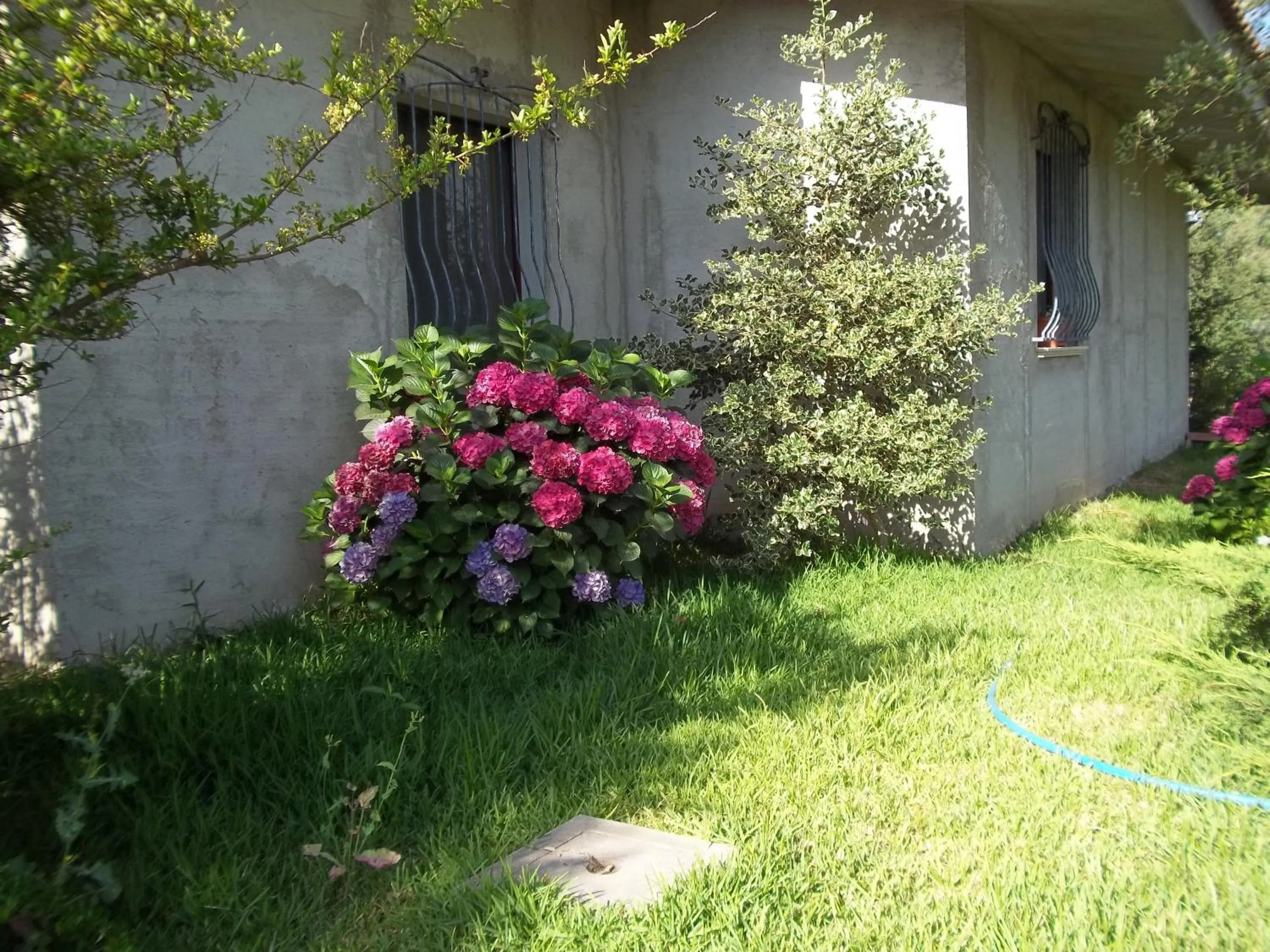 Garden in Il Vecchioliveto di Ornella