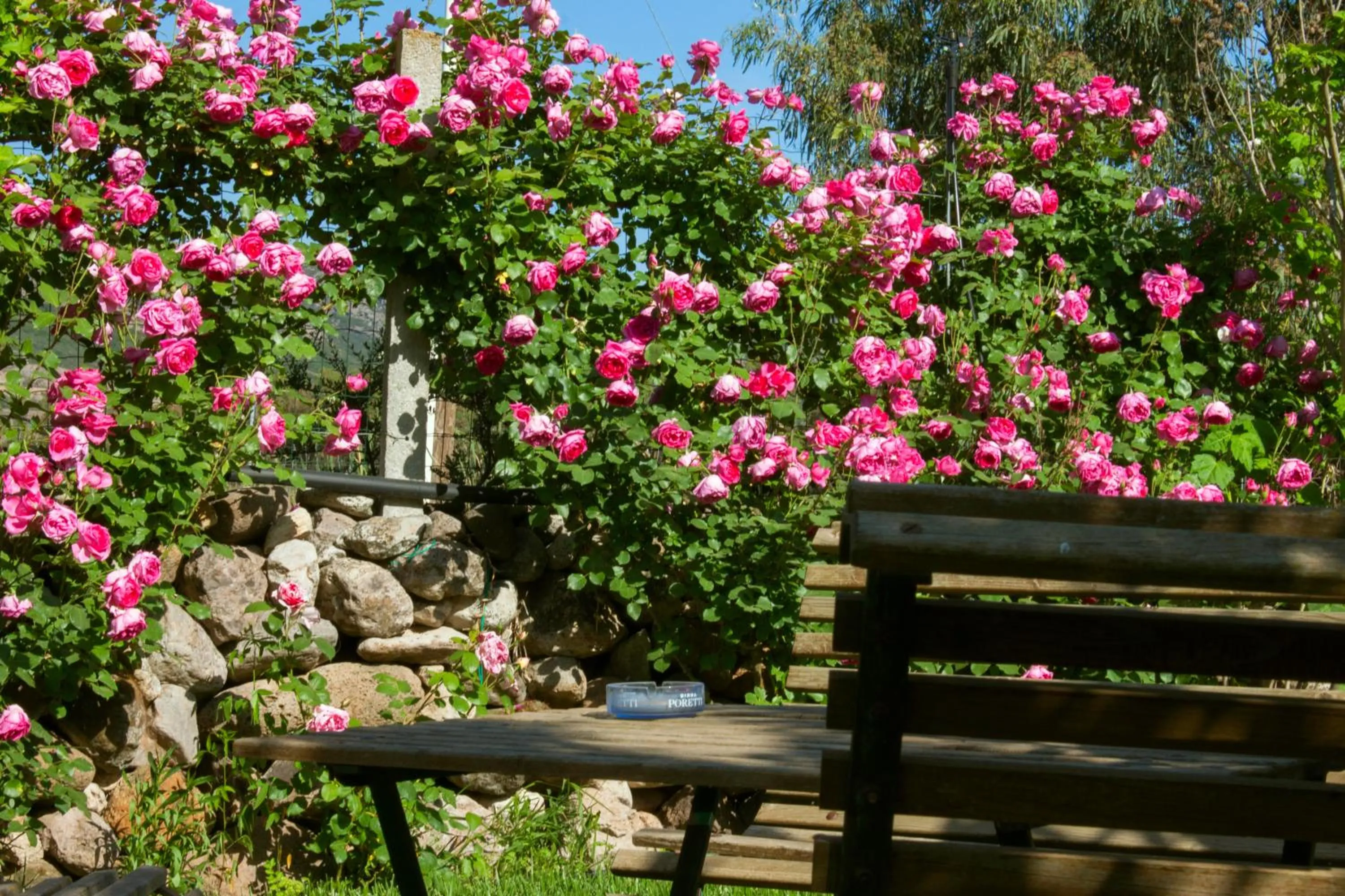 Garden view in Il Vecchioliveto di Ornella