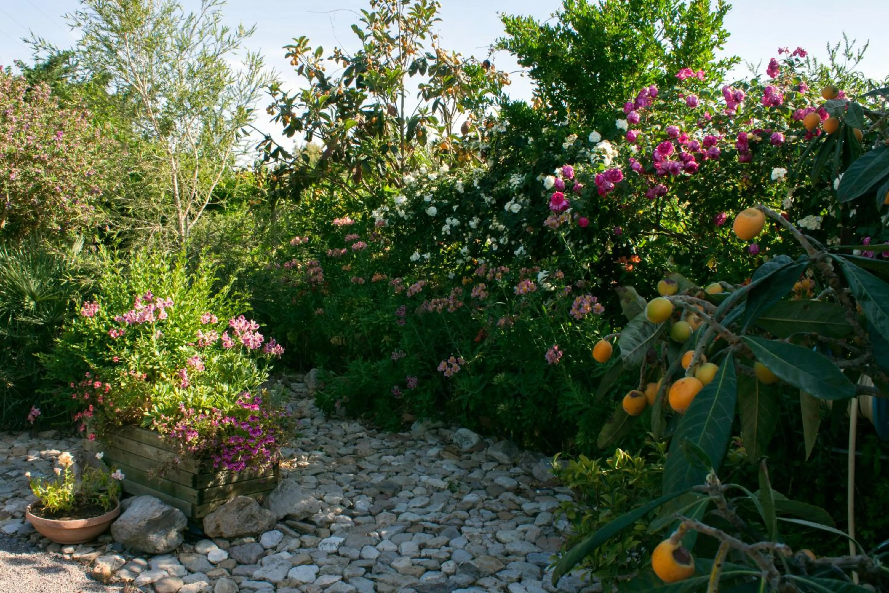 Garden view in Il Vecchioliveto di Ornella