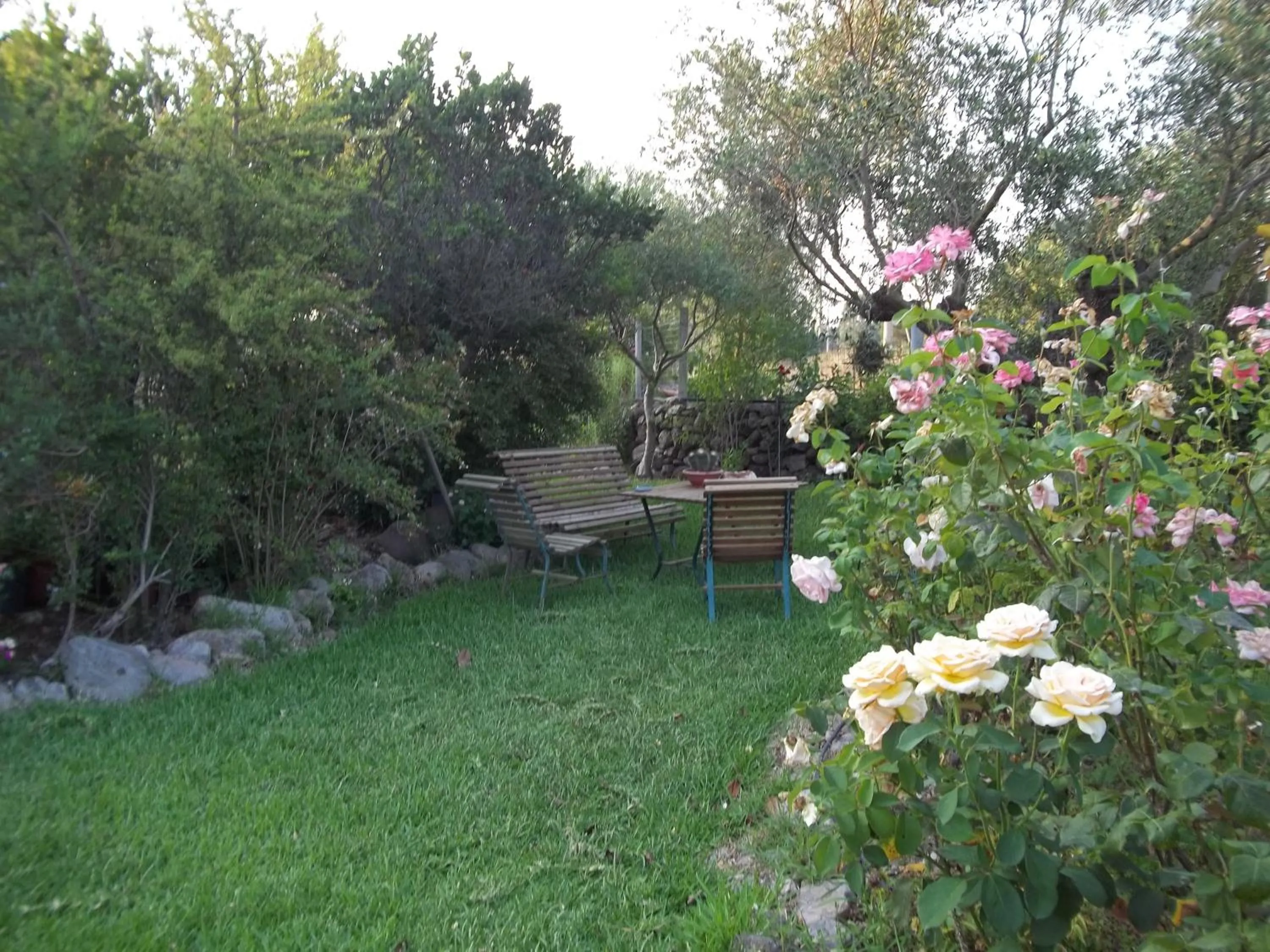 Garden in Il Vecchioliveto di Ornella