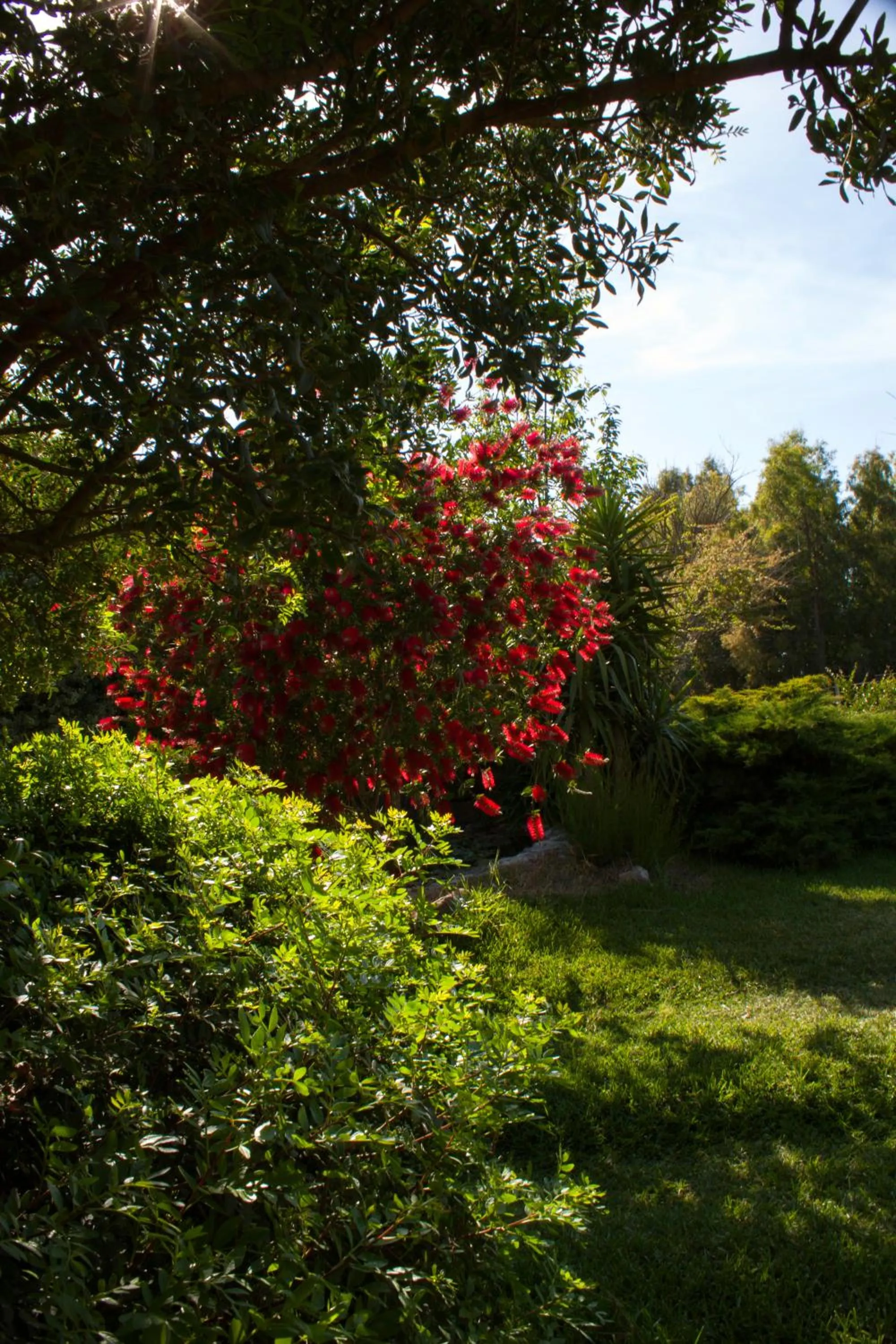 Garden view in Il Vecchioliveto di Ornella