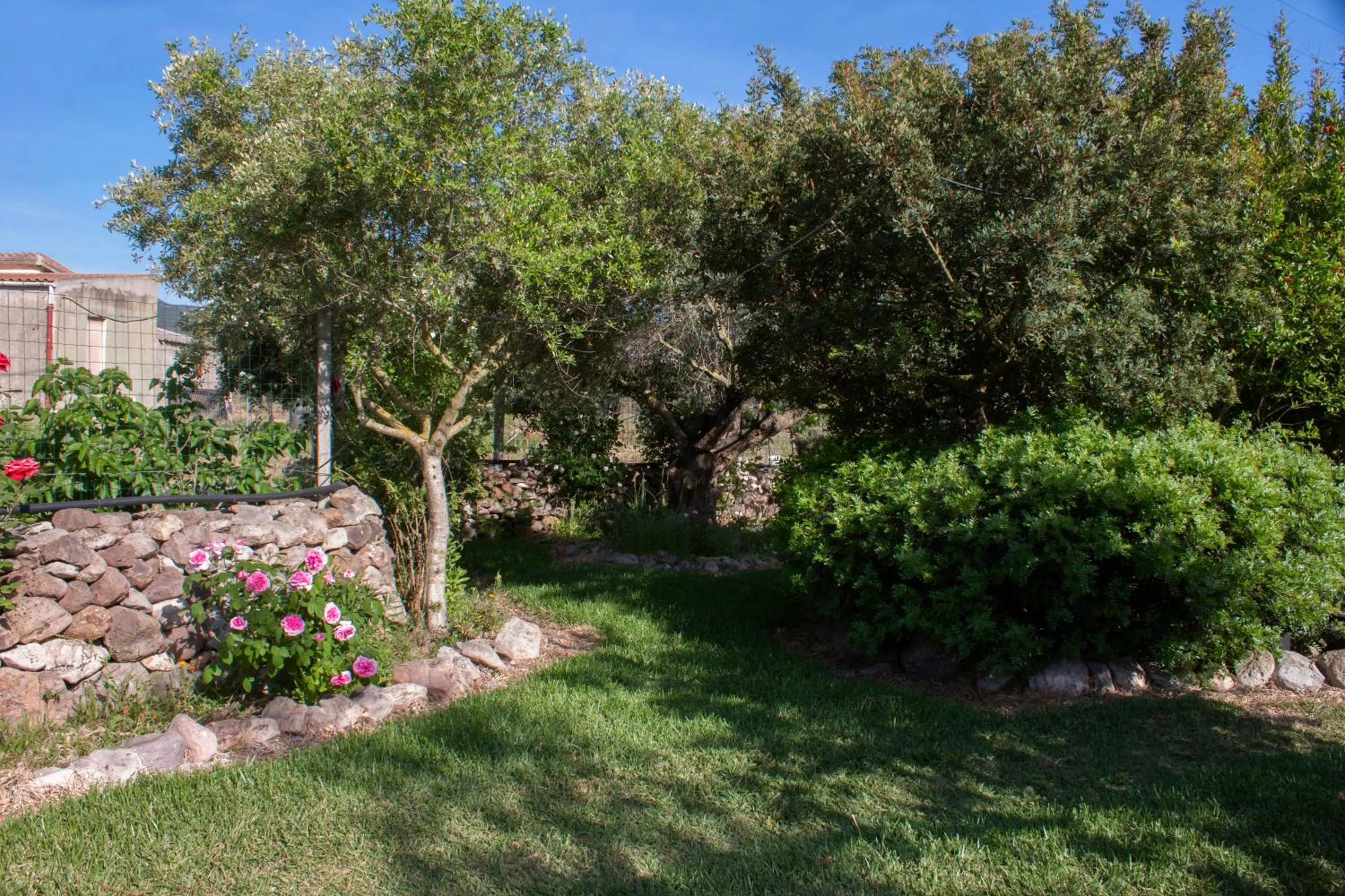 Garden view in Il Vecchioliveto di Ornella
