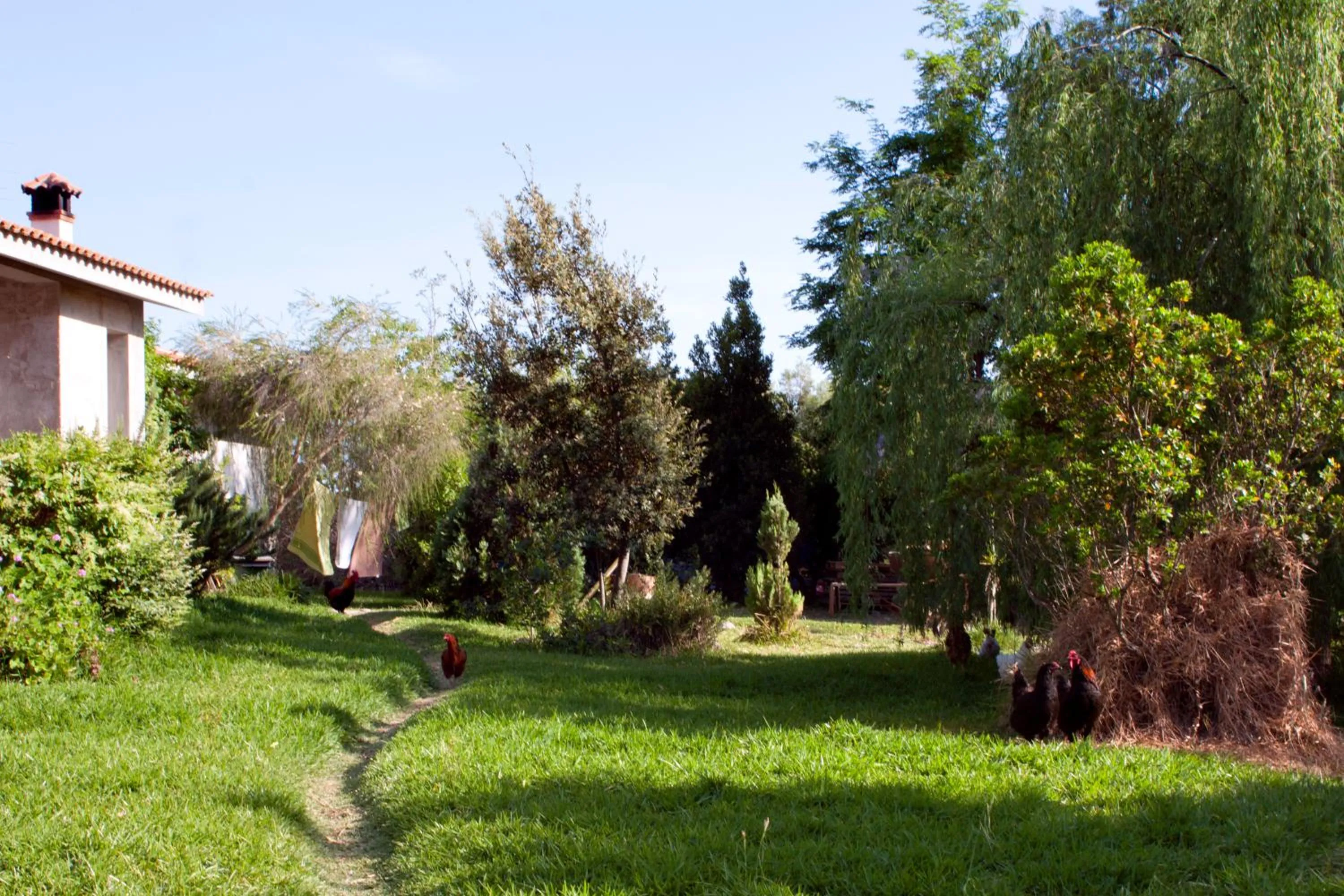 Garden view in Il Vecchioliveto di Ornella