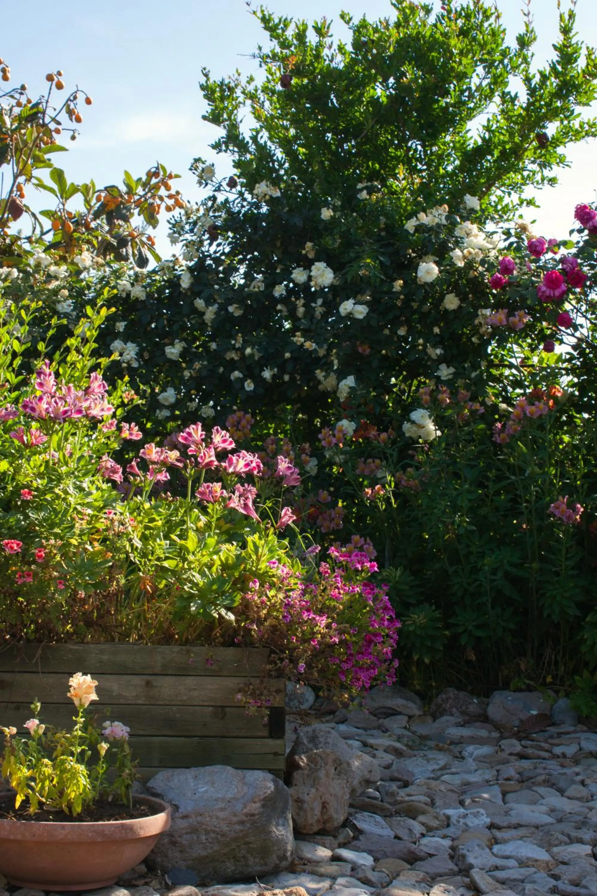 Garden view in Il Vecchioliveto di Ornella