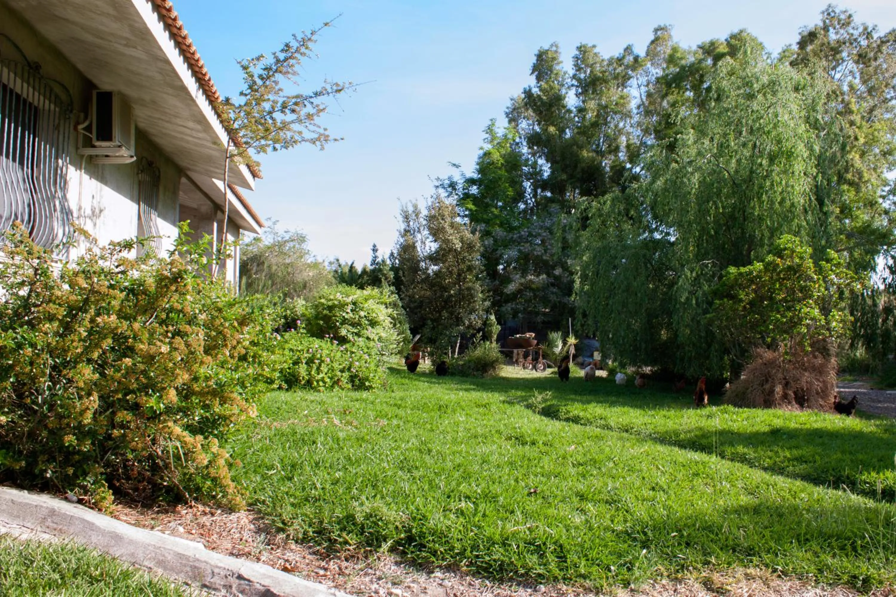 Garden view in Il Vecchioliveto di Ornella