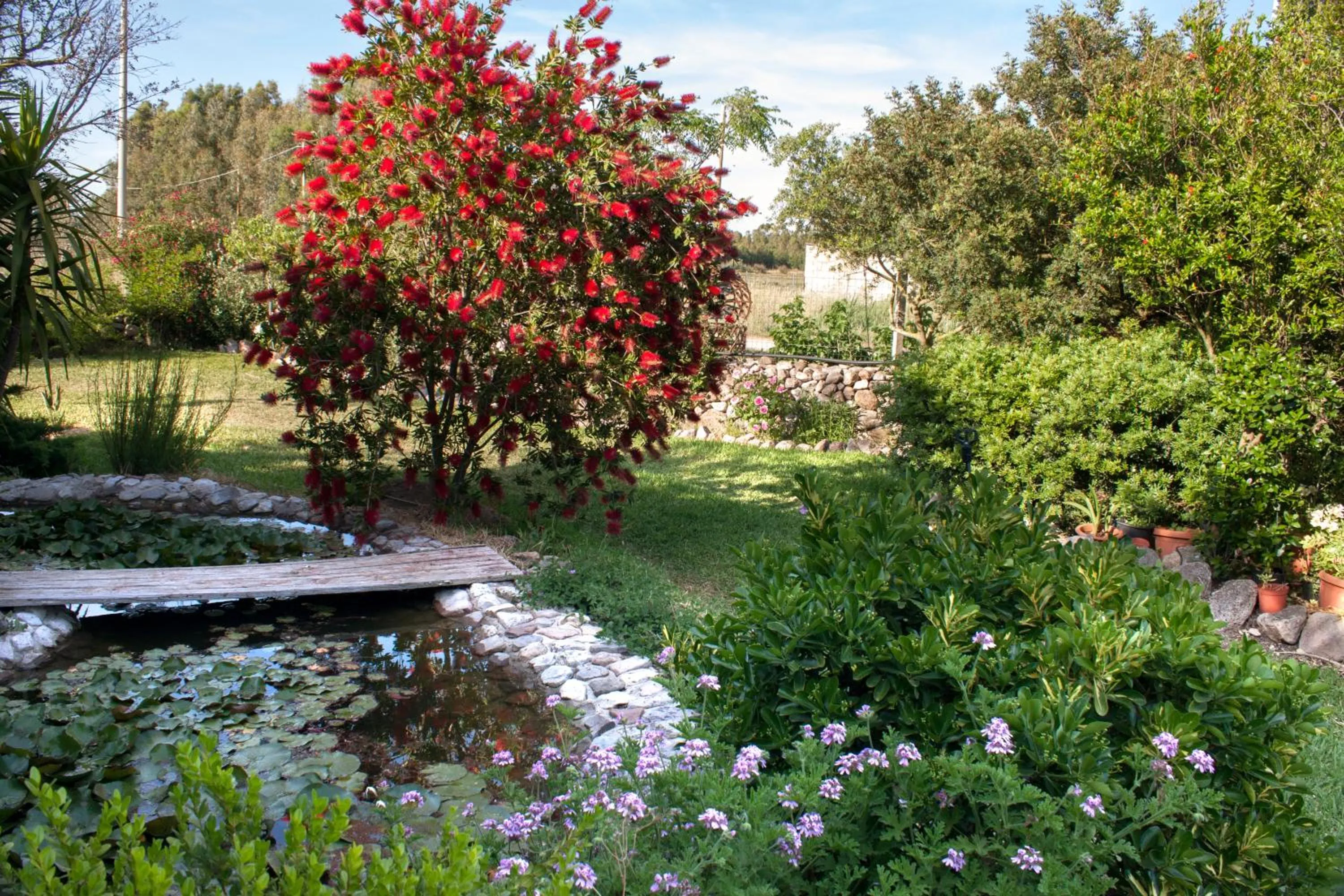 Garden view in Il Vecchioliveto di Ornella