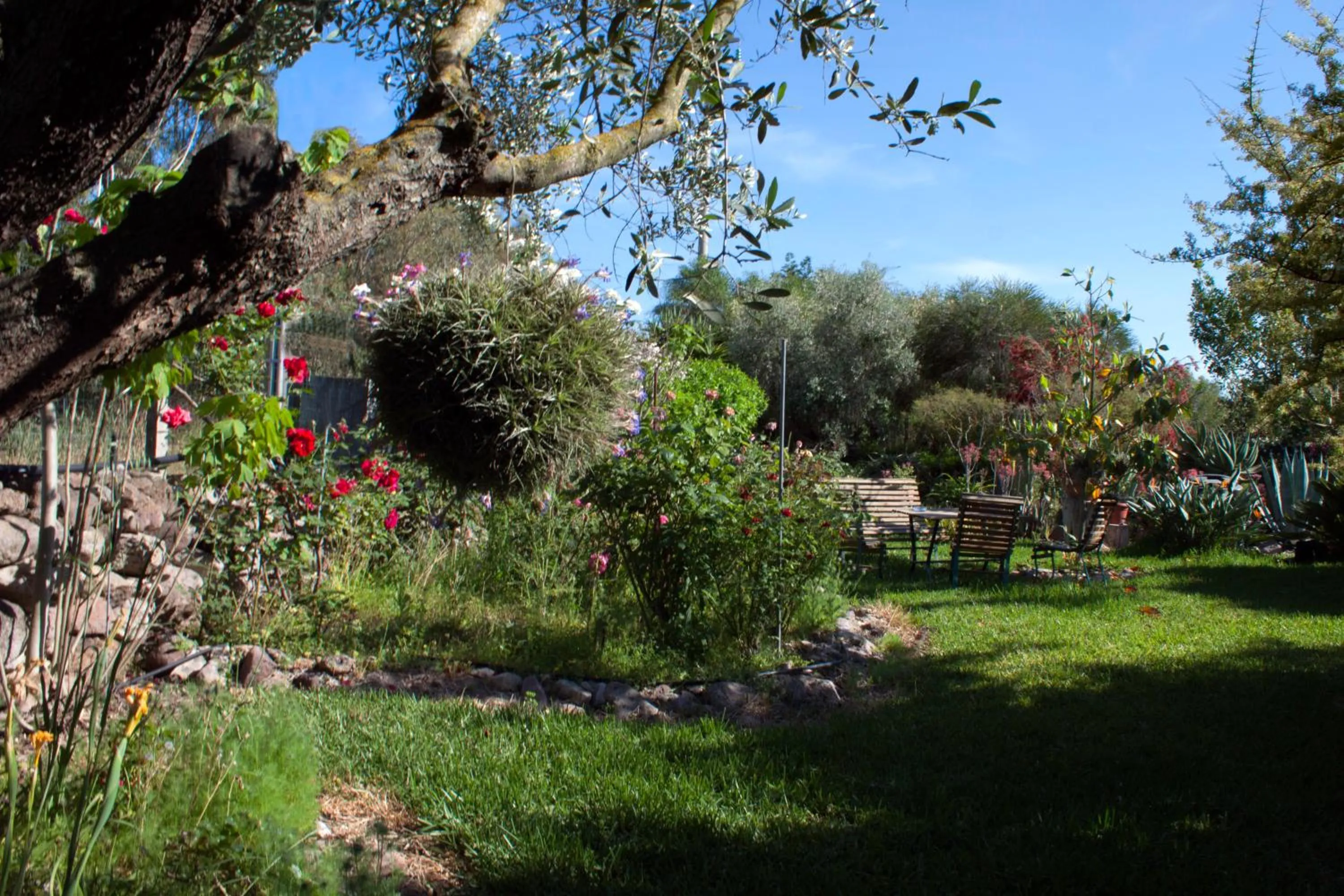 Garden view in Il Vecchioliveto di Ornella