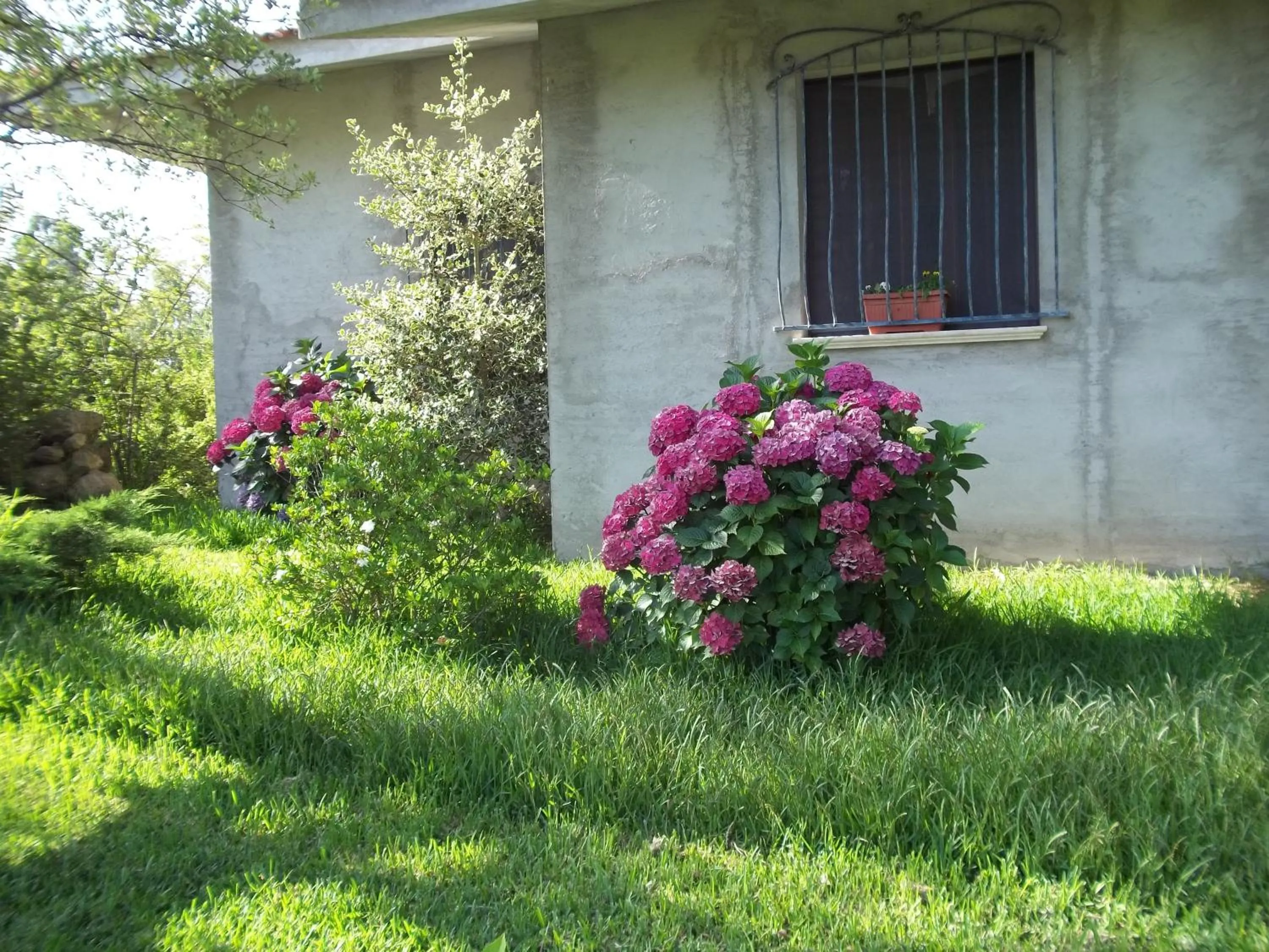 Property building in Il Vecchioliveto di Ornella