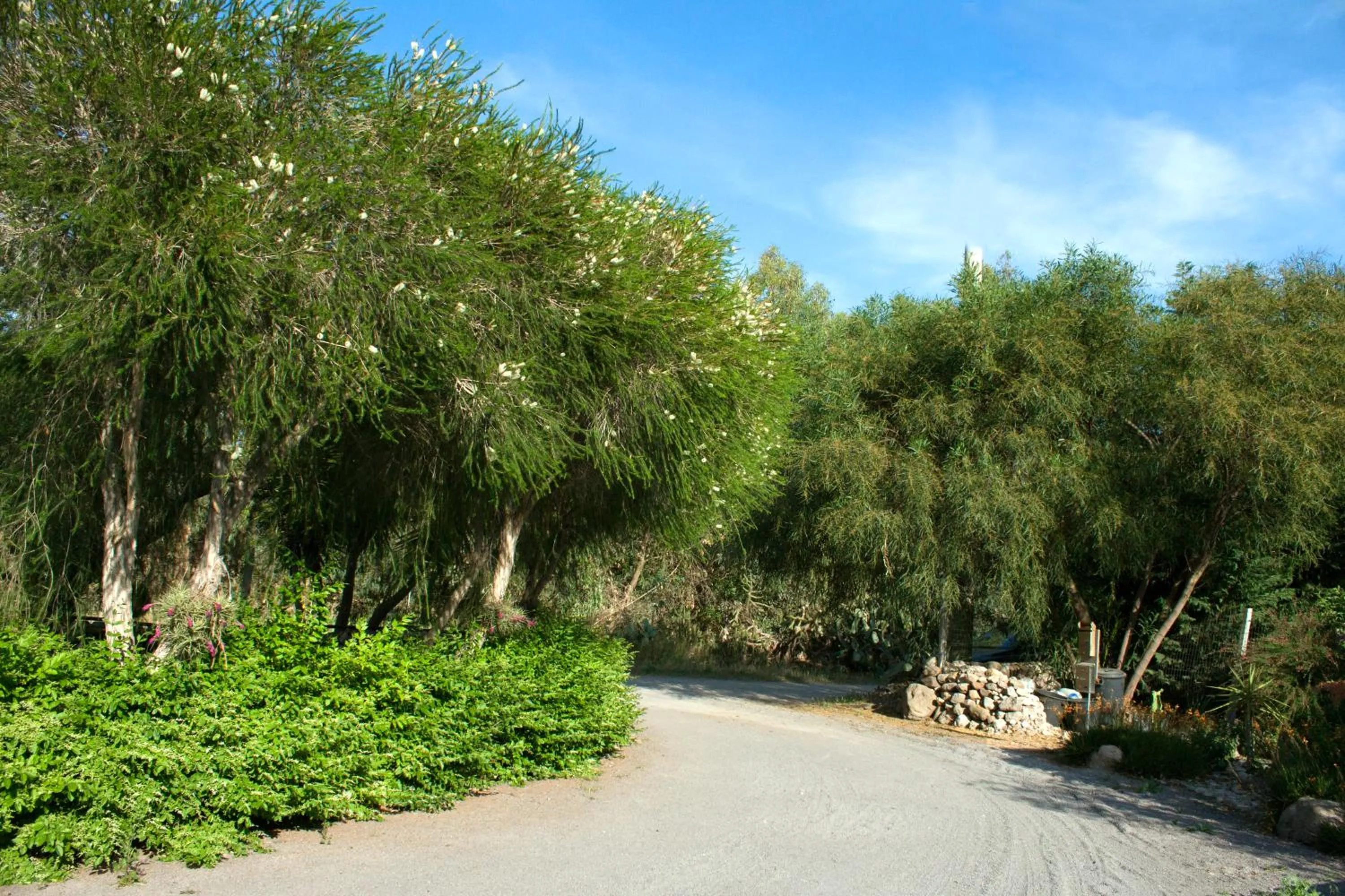 Garden view in Il Vecchioliveto di Ornella