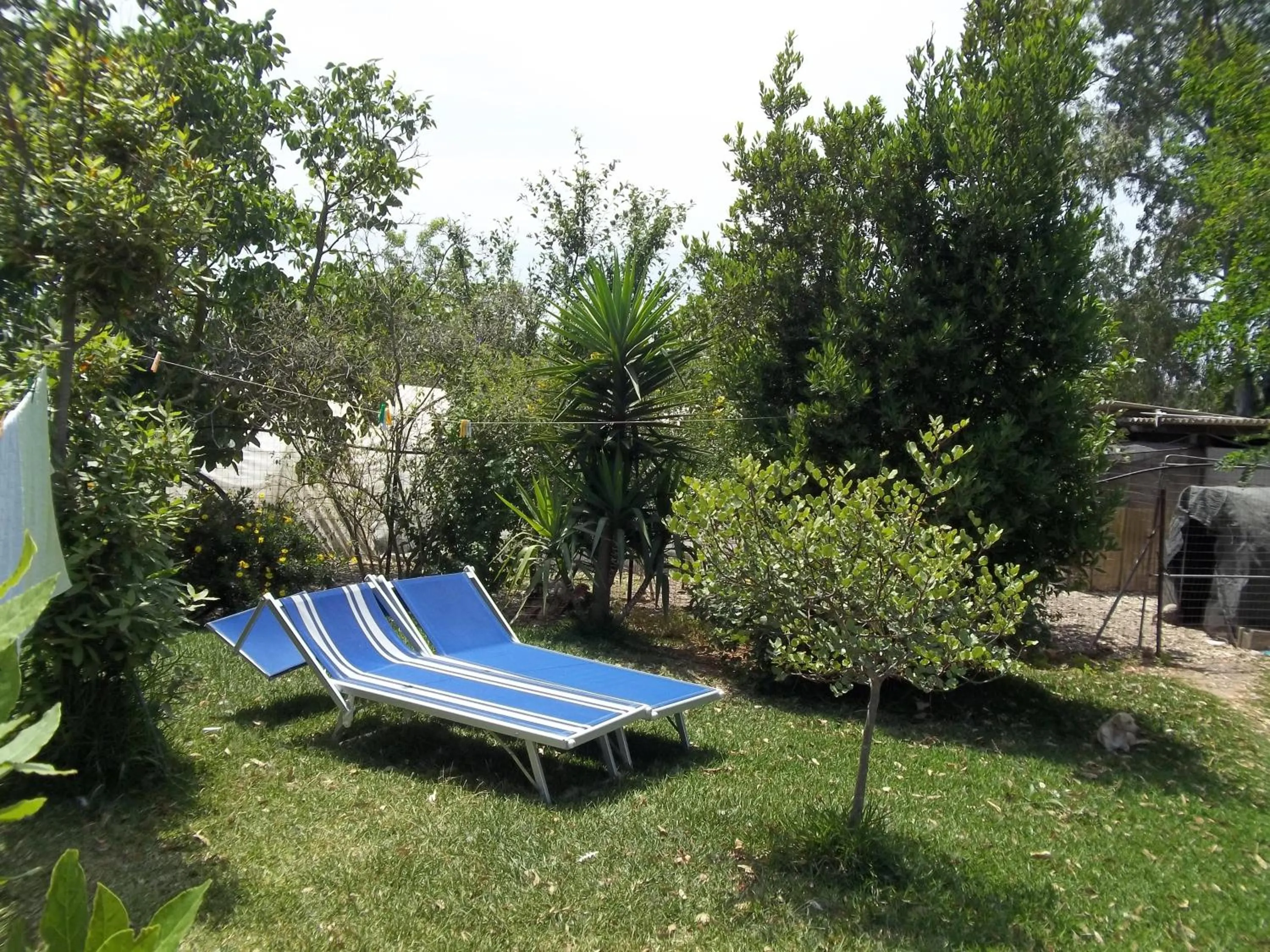 Garden in Il Vecchioliveto di Ornella