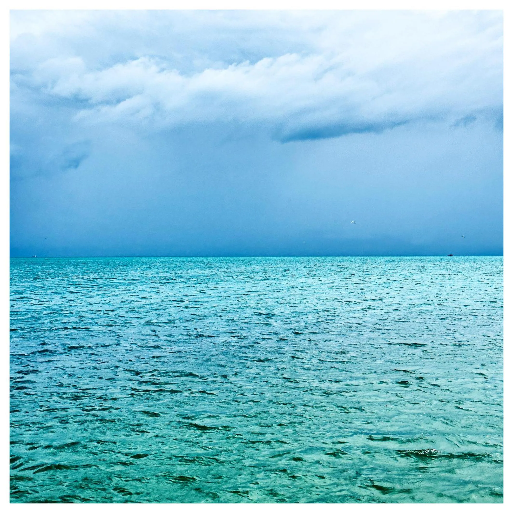 Natural landscape in Hôtel De La Plage
