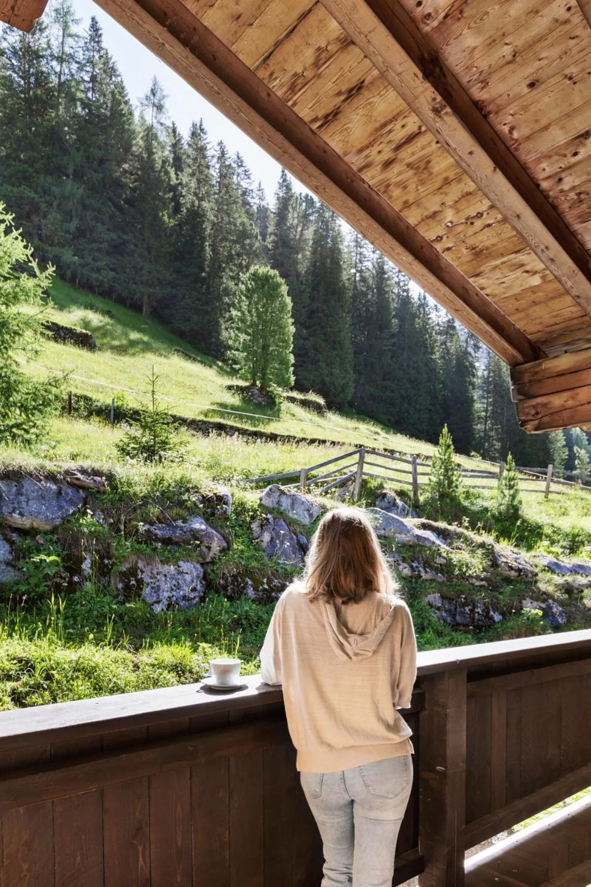 Balcony/Terrace in Berggasthaus Höllensteinhütte