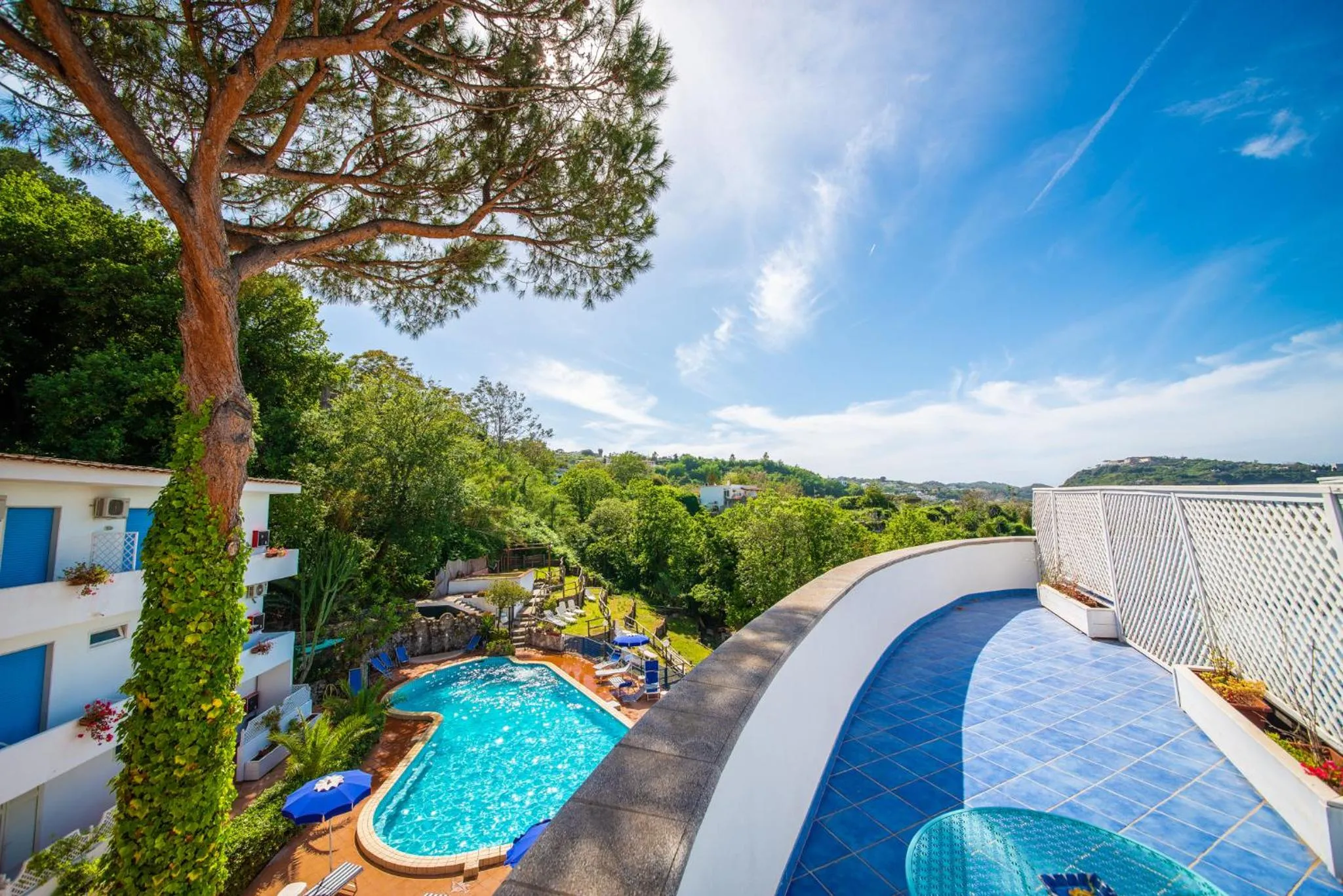 Swimming pool in Bristol Hotel