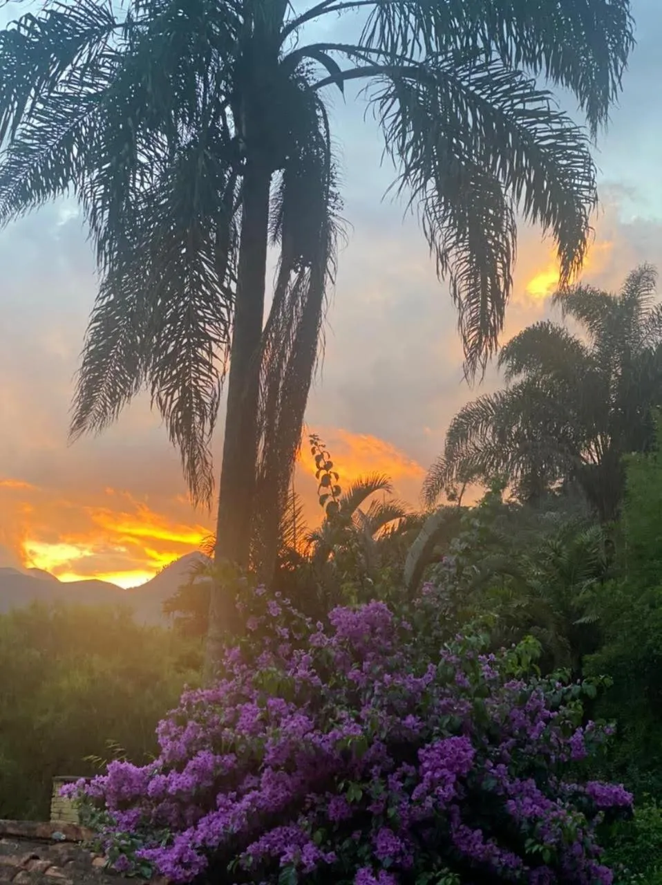 Natural landscape in Pousada Boutique Itaipava