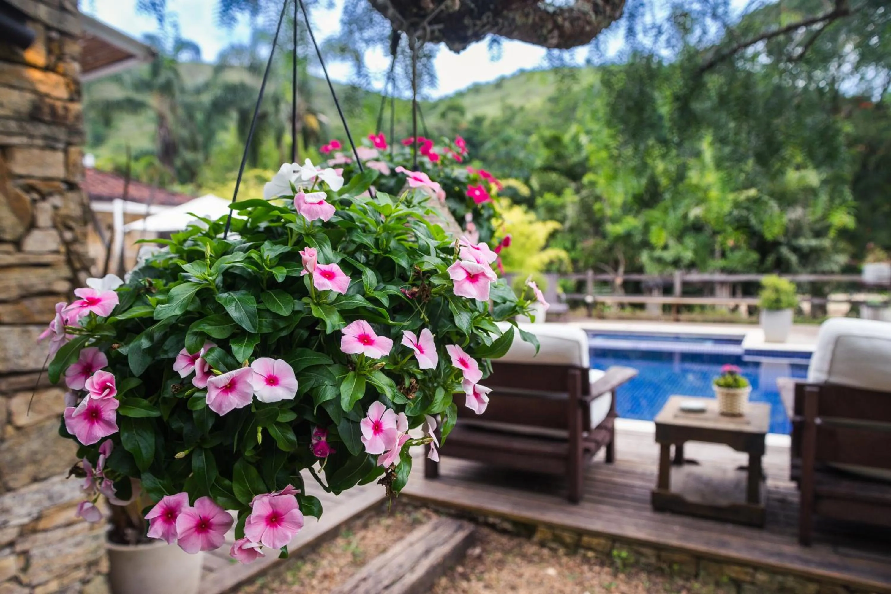 Garden in Pousada Boutique Itaipava