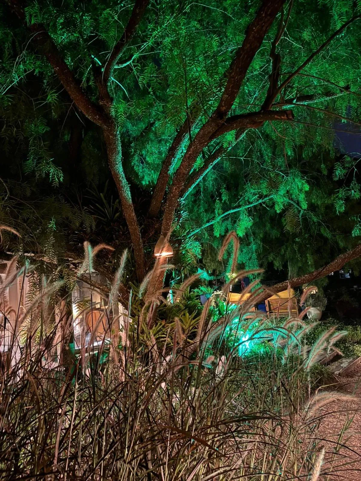 Garden in Pousada Boutique Itaipava
