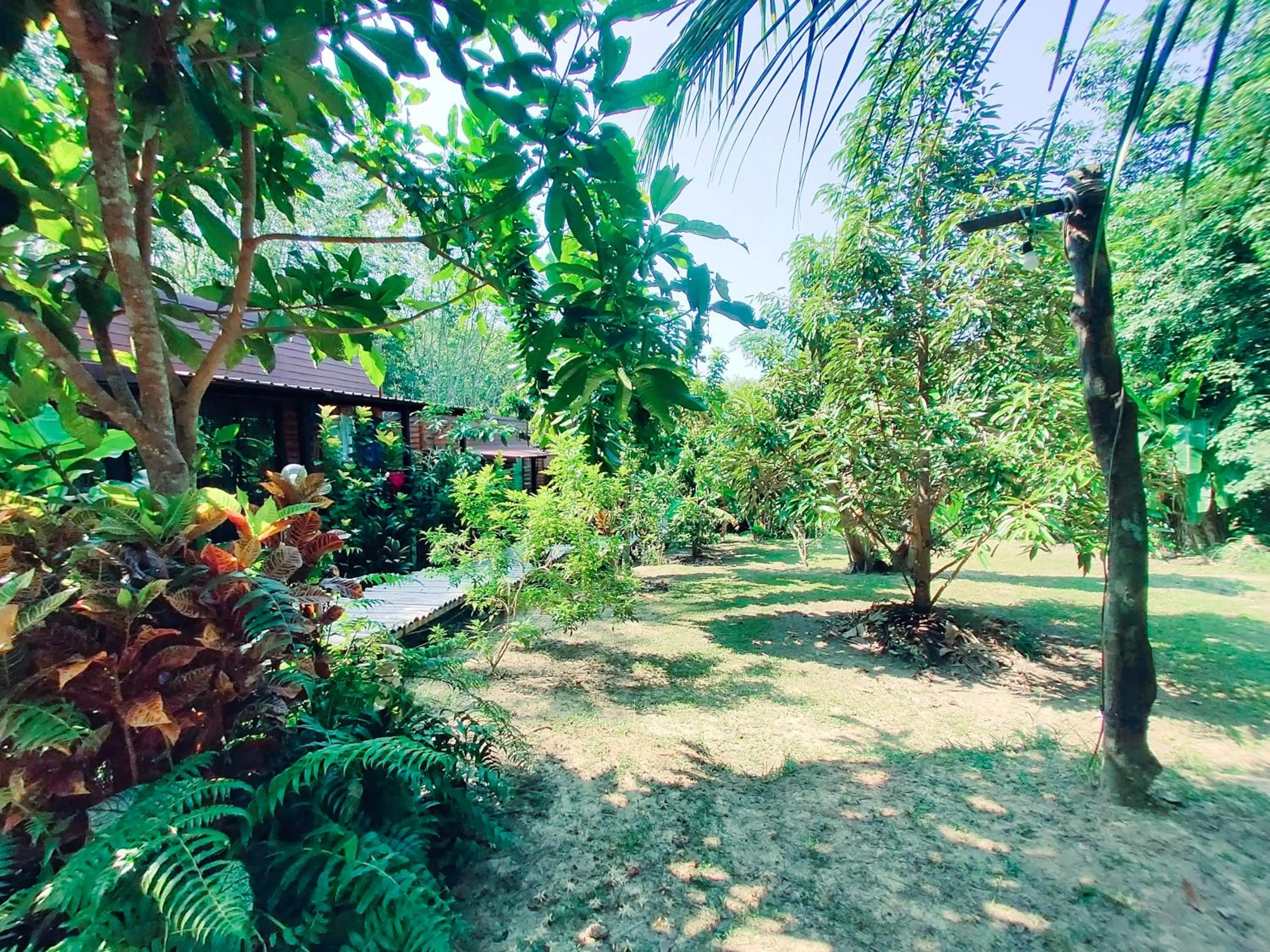 Garden view in Kohmook Nurse House