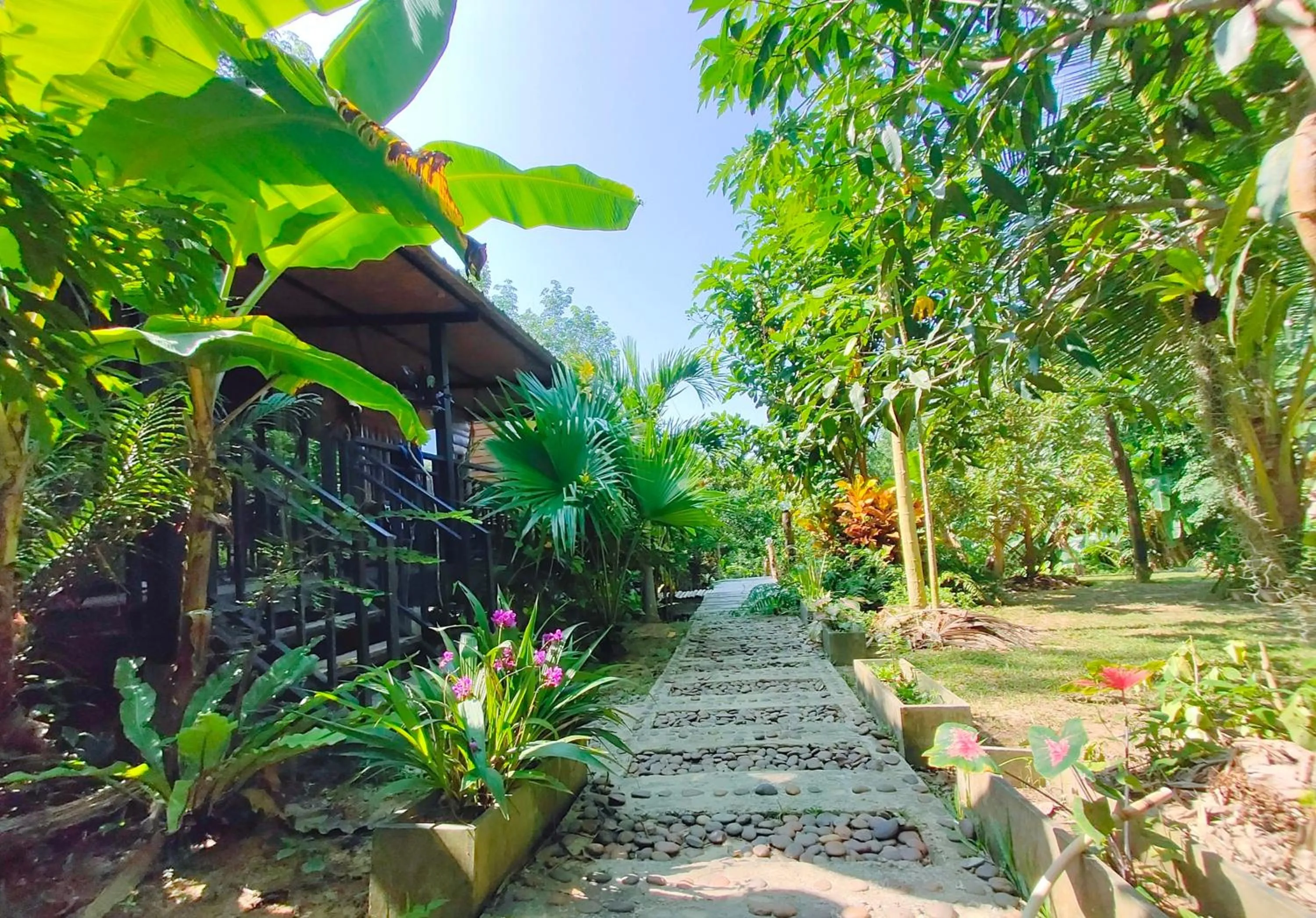 Garden view in Kohmook Nurse House