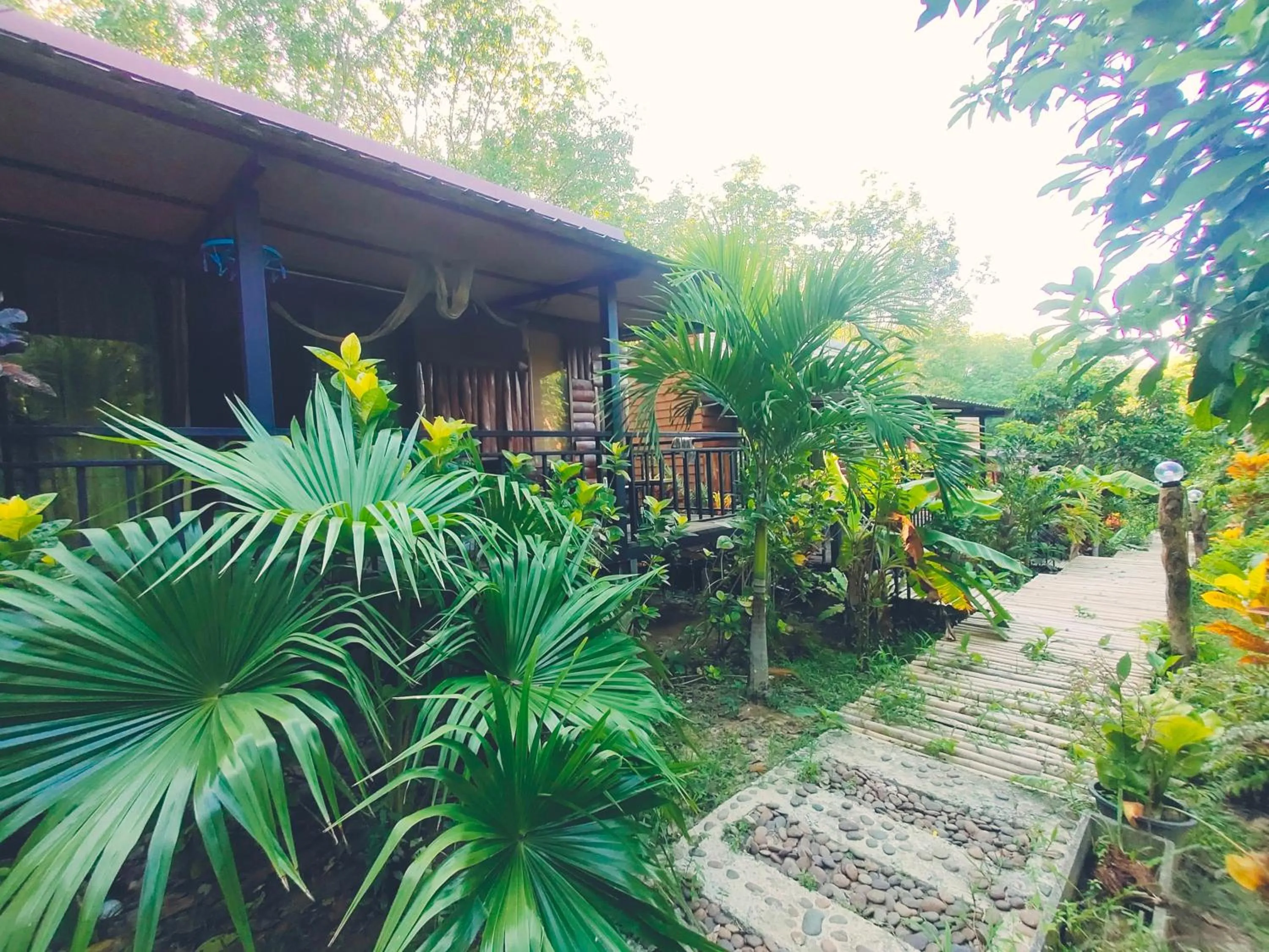Natural landscape in Kohmook Nurse House