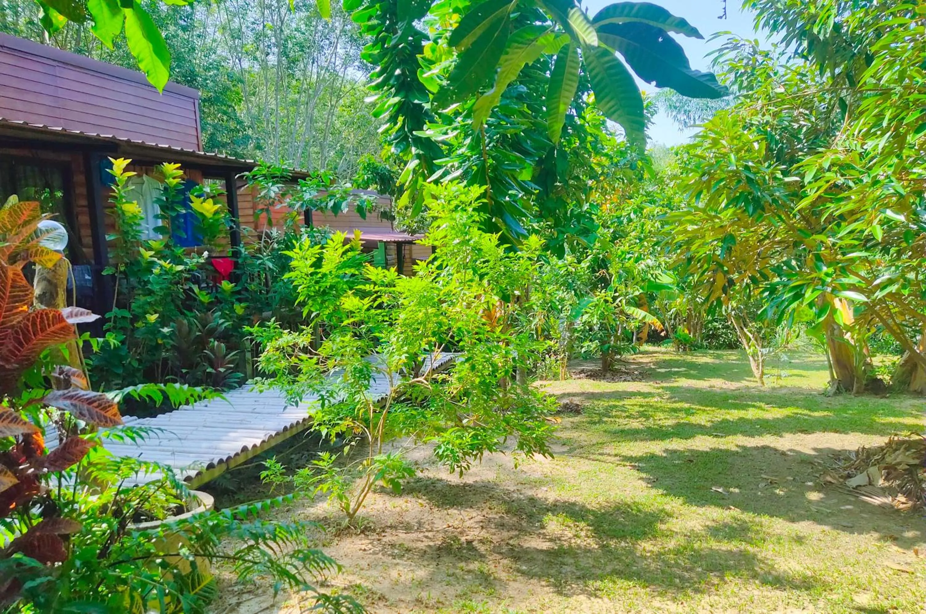 Garden in Kohmook Nurse House