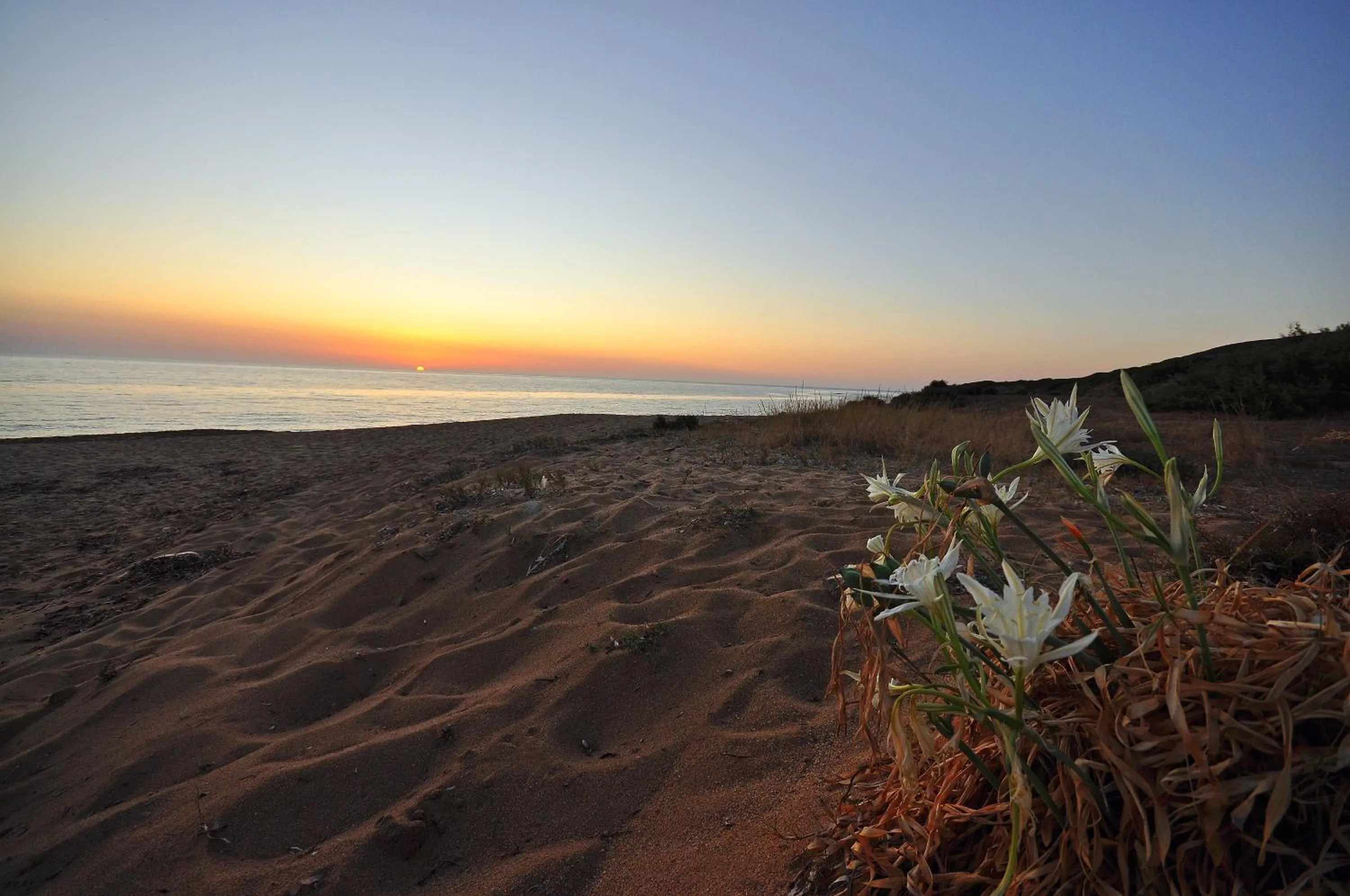 View (from property/room) in Hotel Corsaro Nero