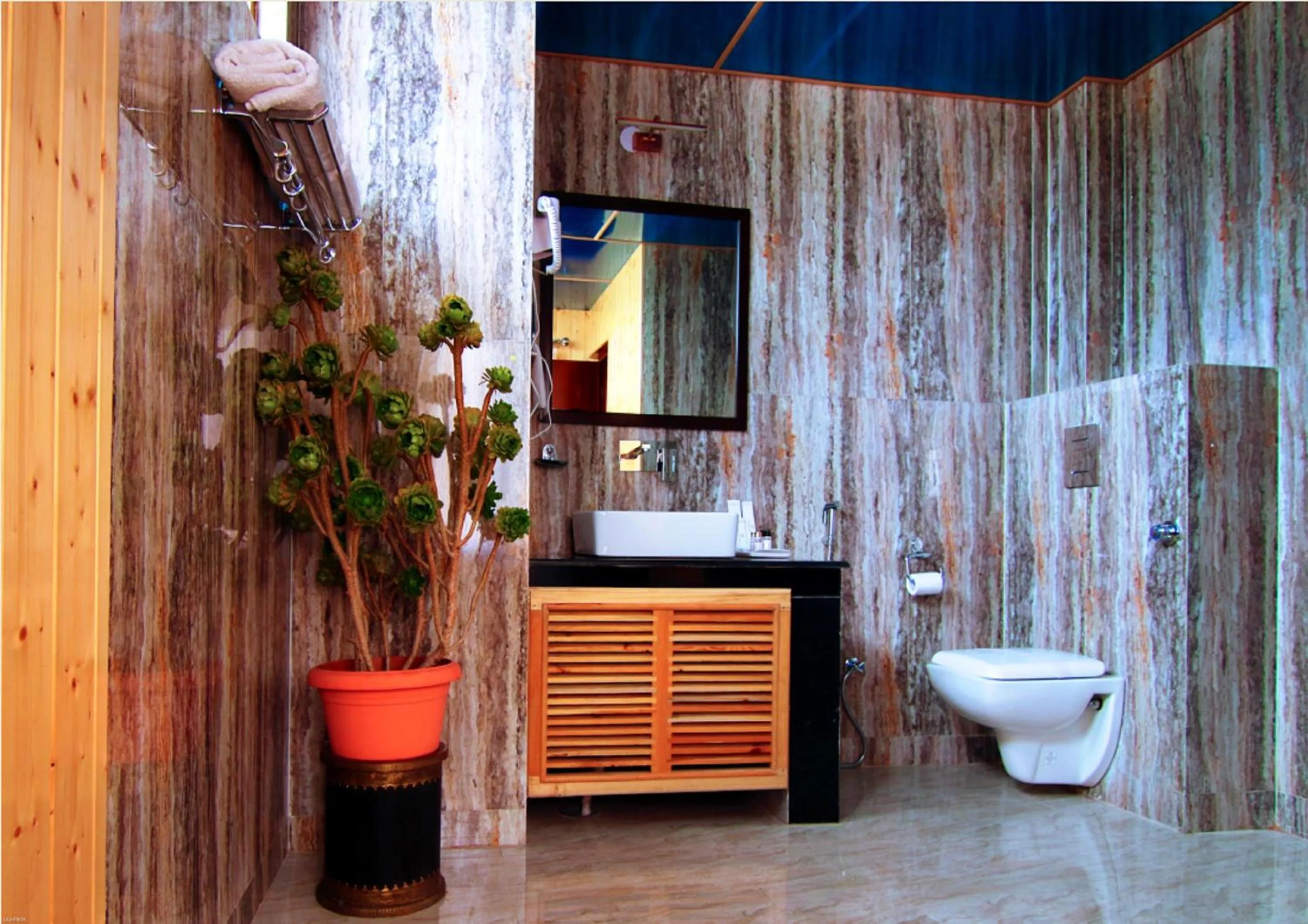 Bathroom in Hotel Shangrila - Leh