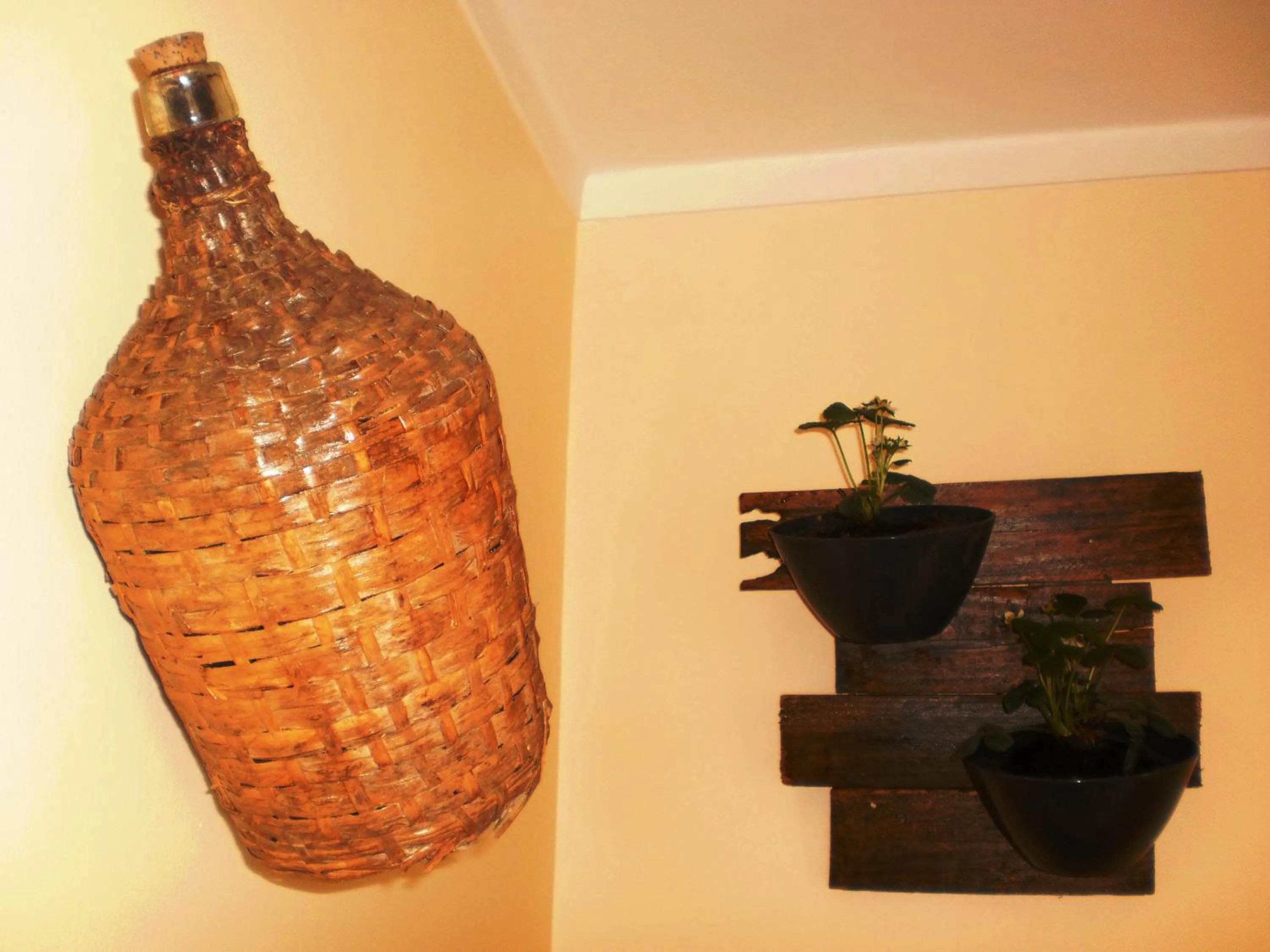 Other in SwordFish Eco-House Peniche