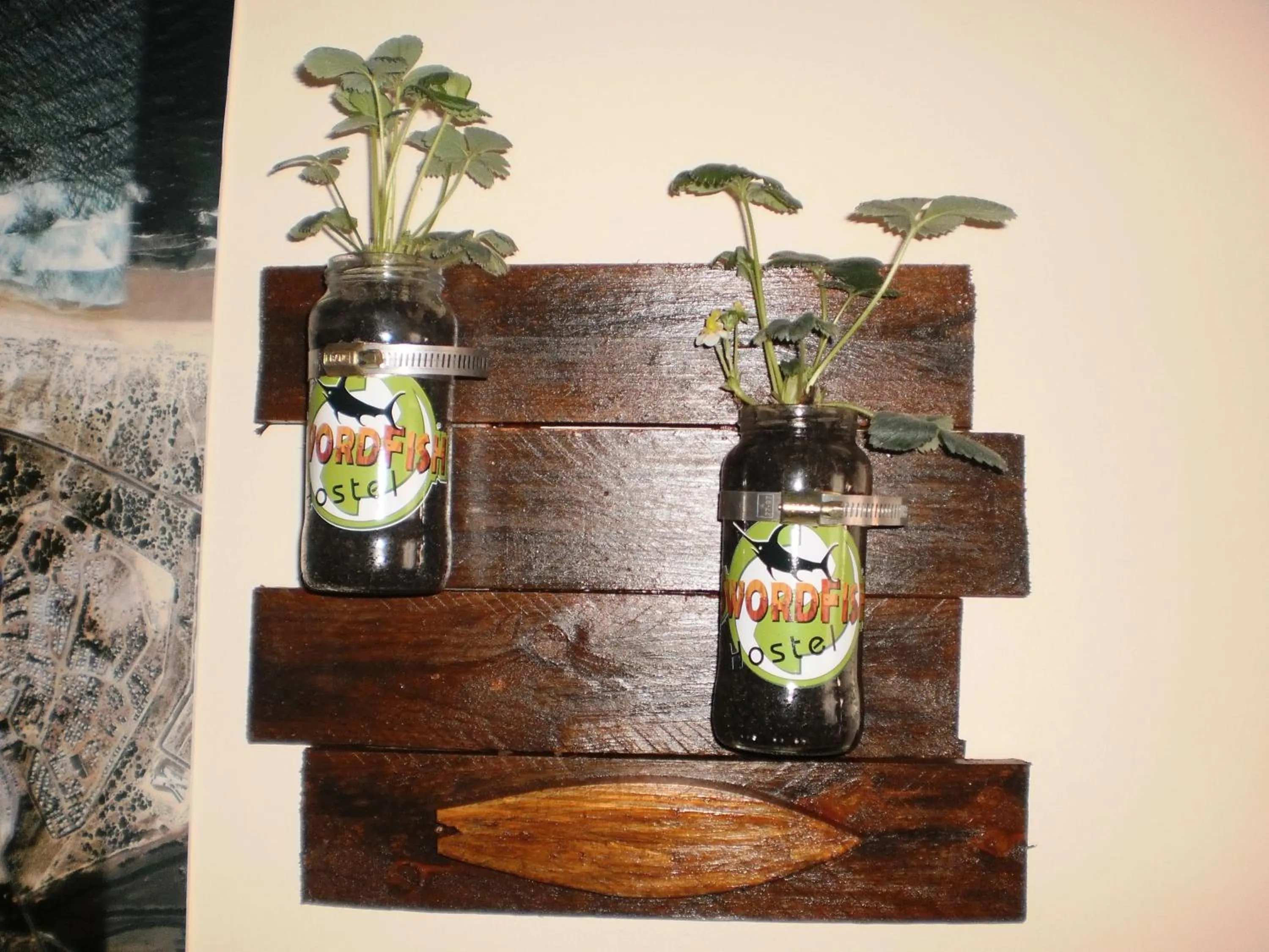 Other in SwordFish Eco-House Peniche