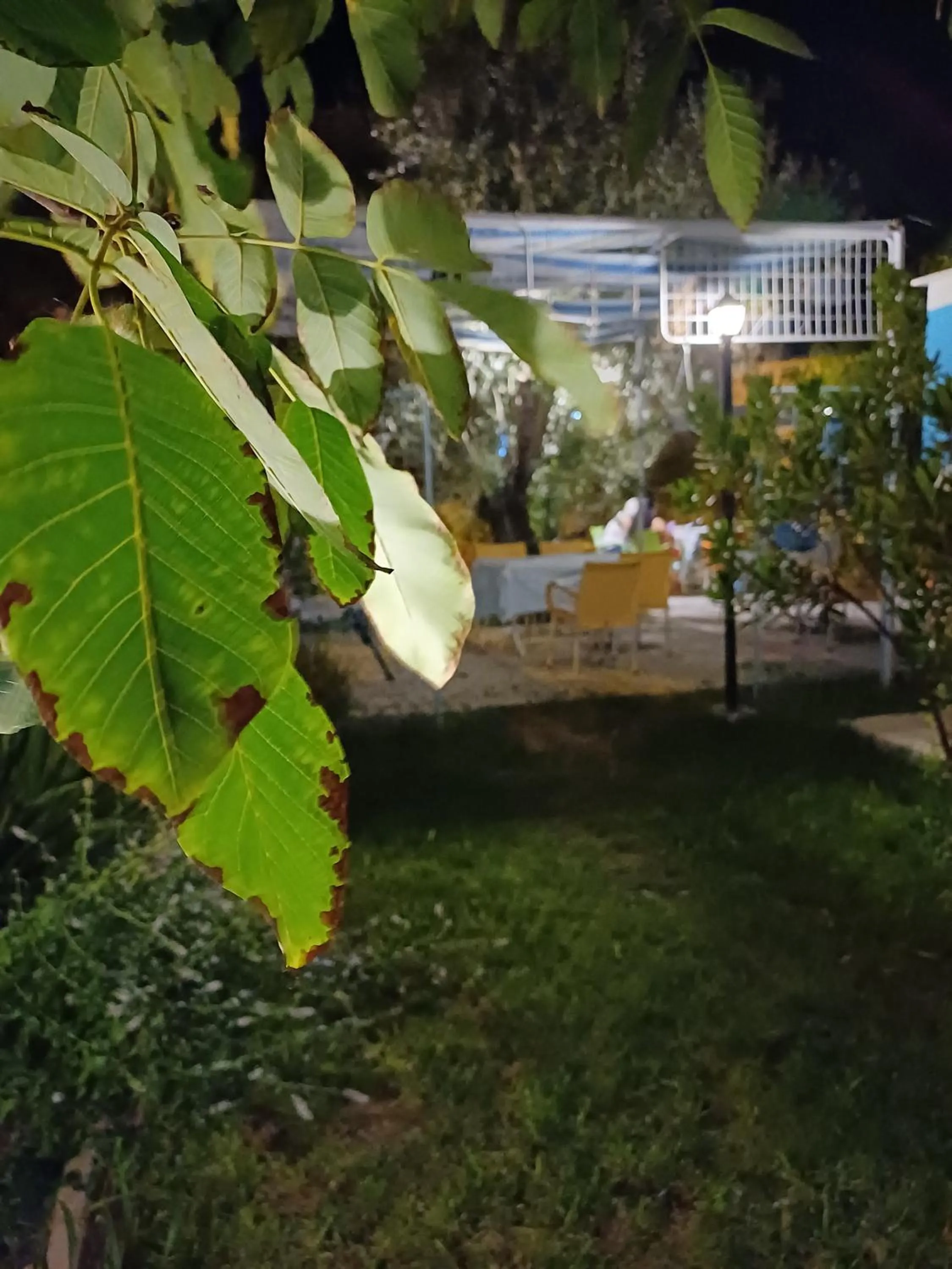 Garden in The Cotton House