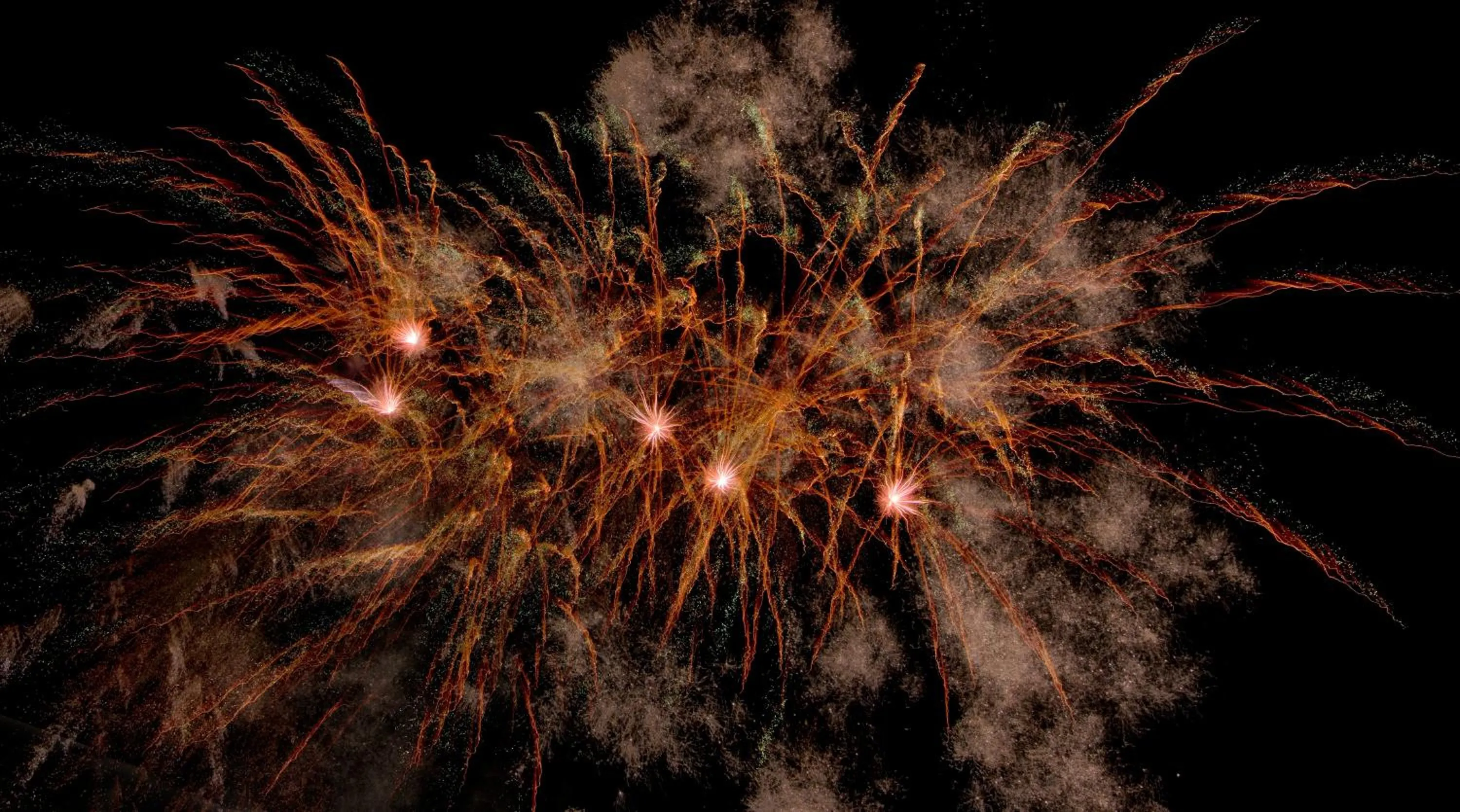 Activities in Super 8 by Wyndham Albuquerque West/Coors Blvd