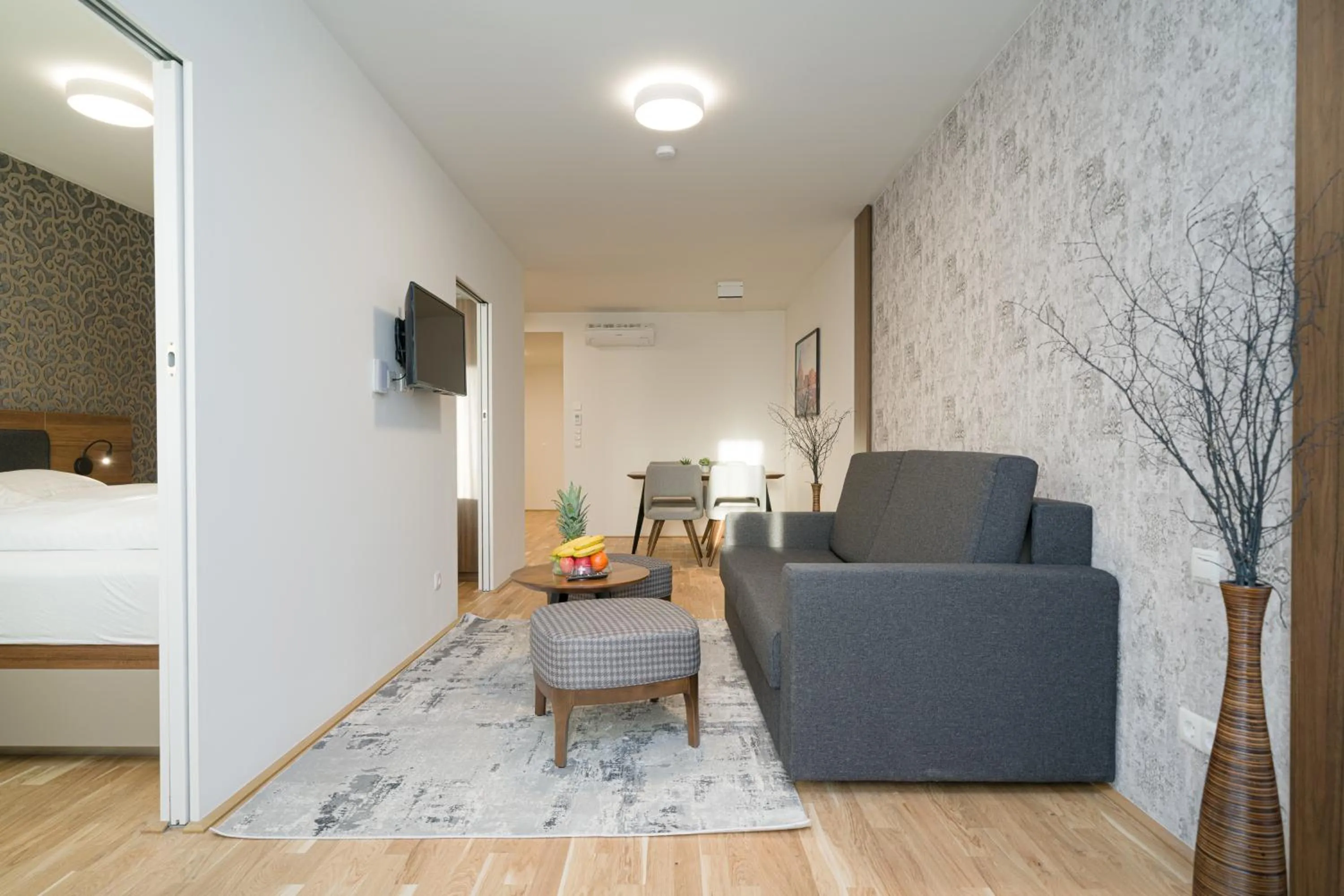 TV and multimedia in MyApartments Vienna